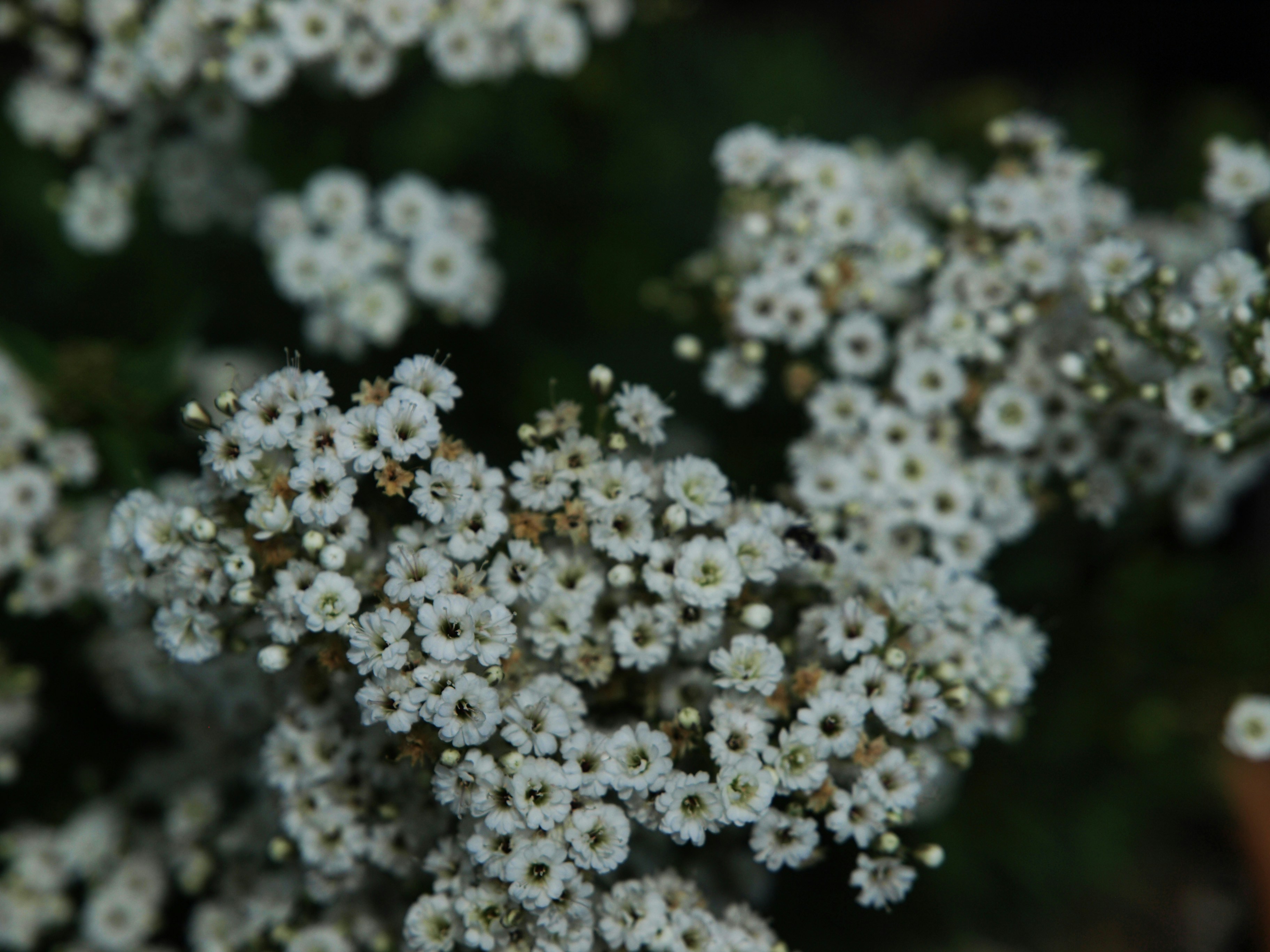 Photo by myworldisblue