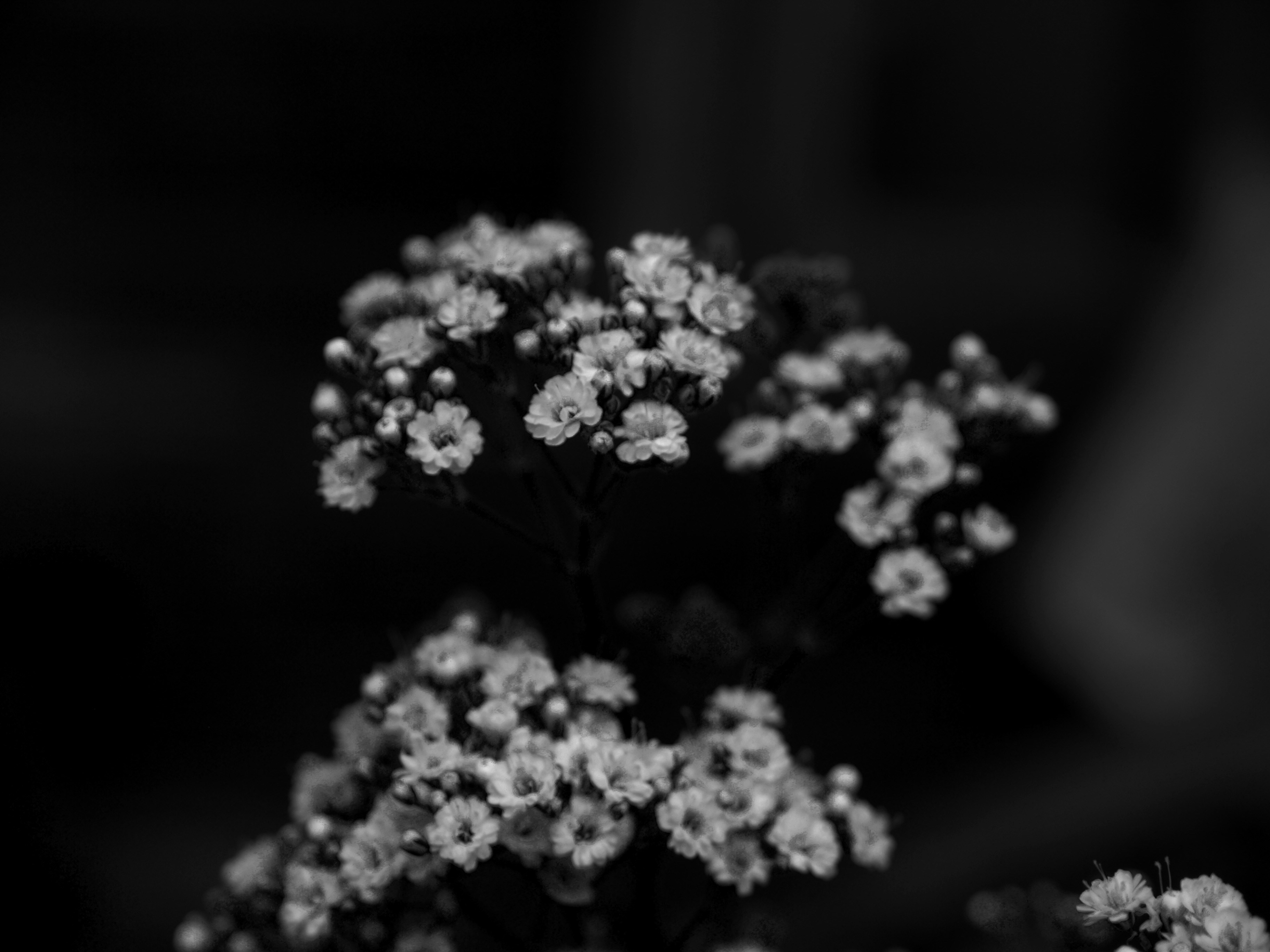 Photo by myworldisblue