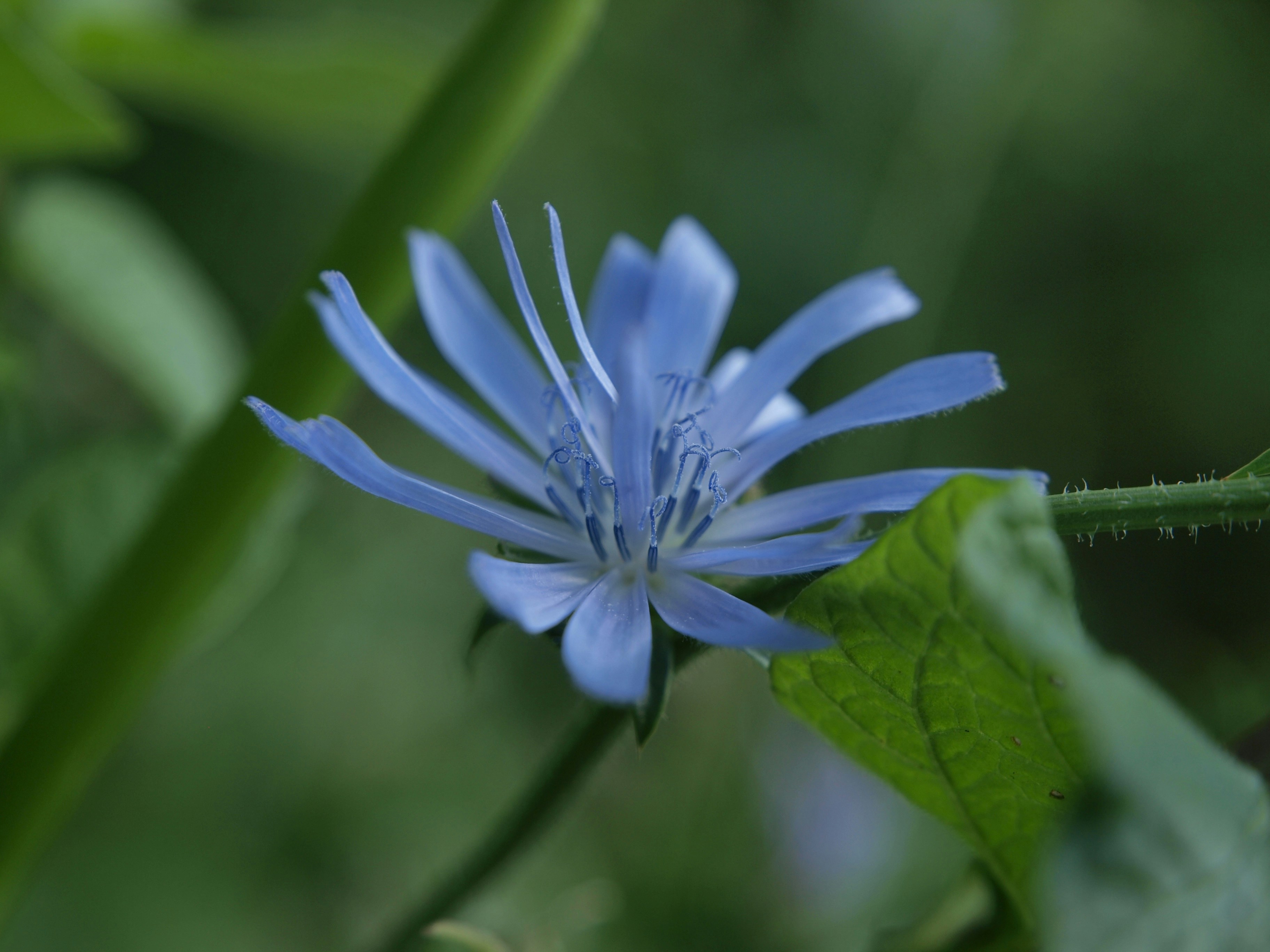 Photo by myworldisblue