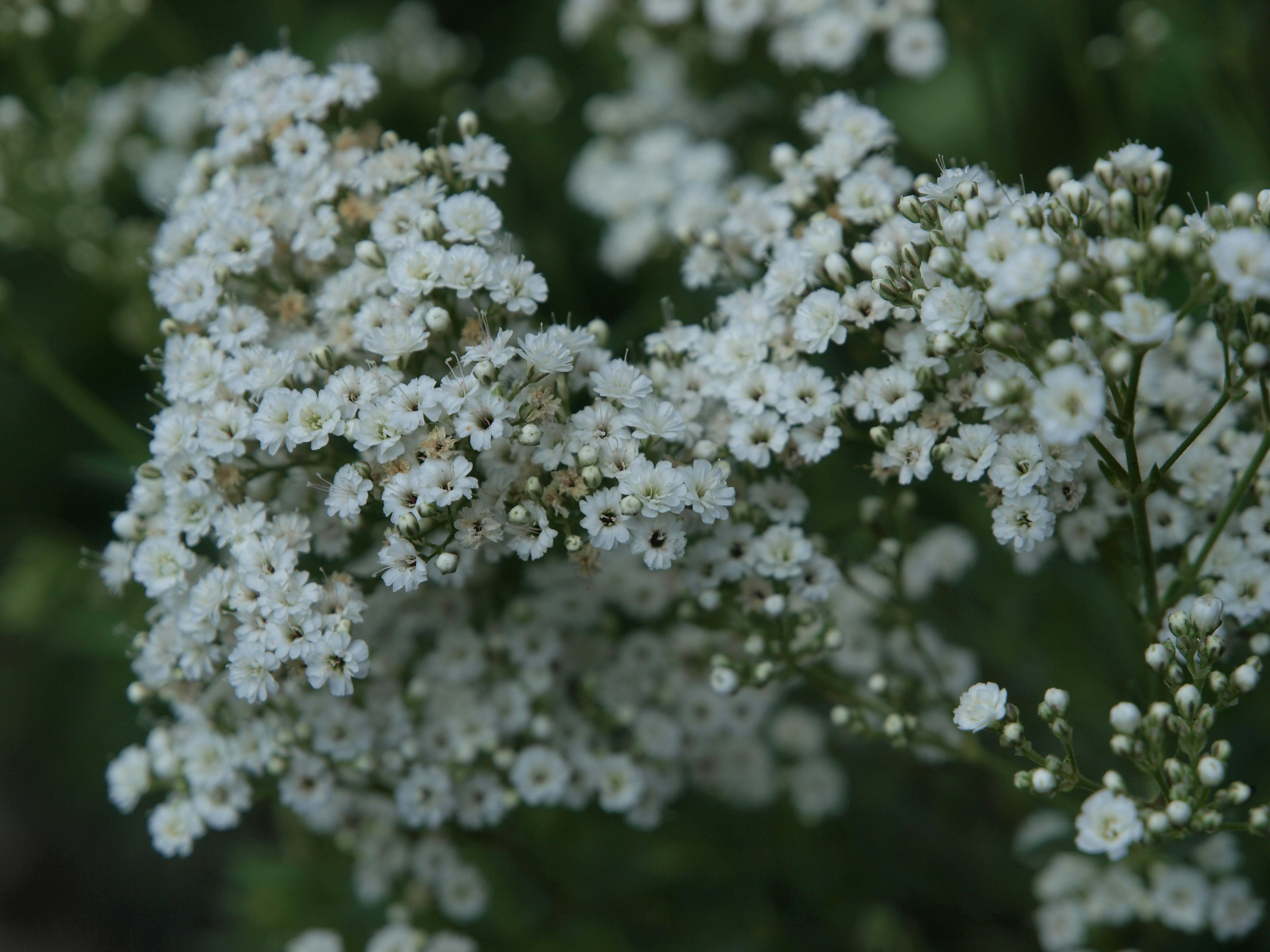 Photo by myworldisblue