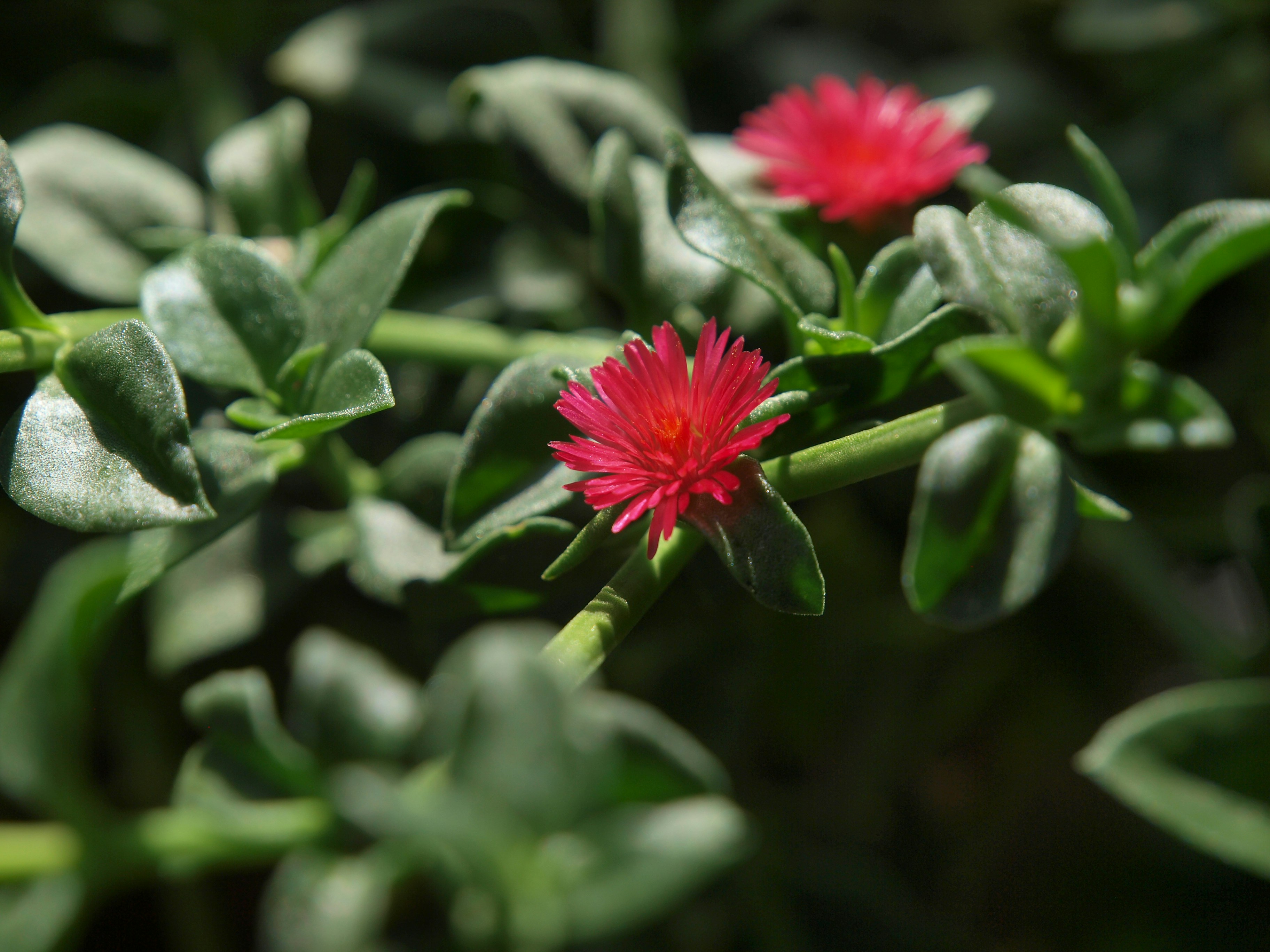 Photo by myworldisblue