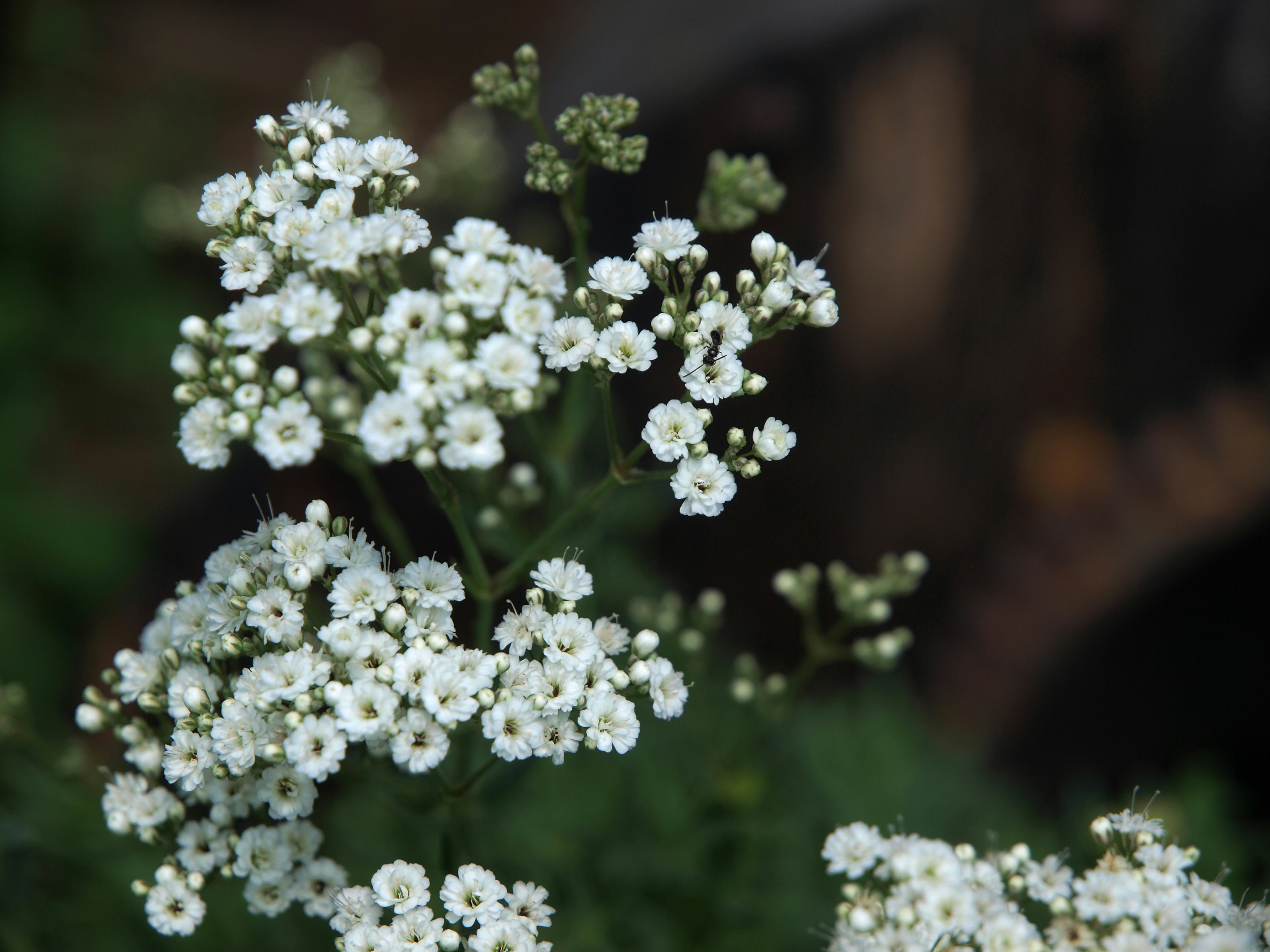 Photo by myworldisblue