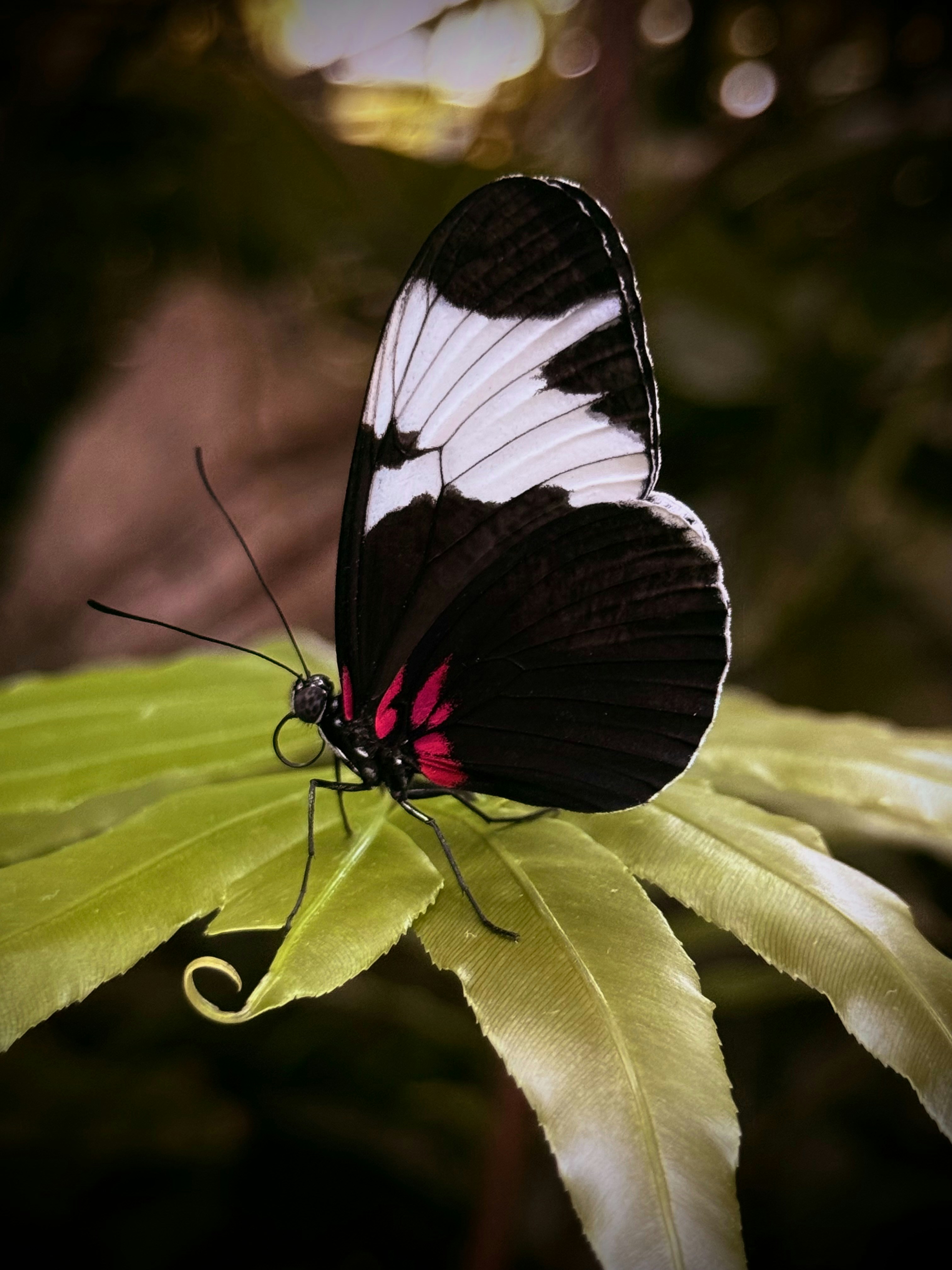 Photo by niels_rosiers1