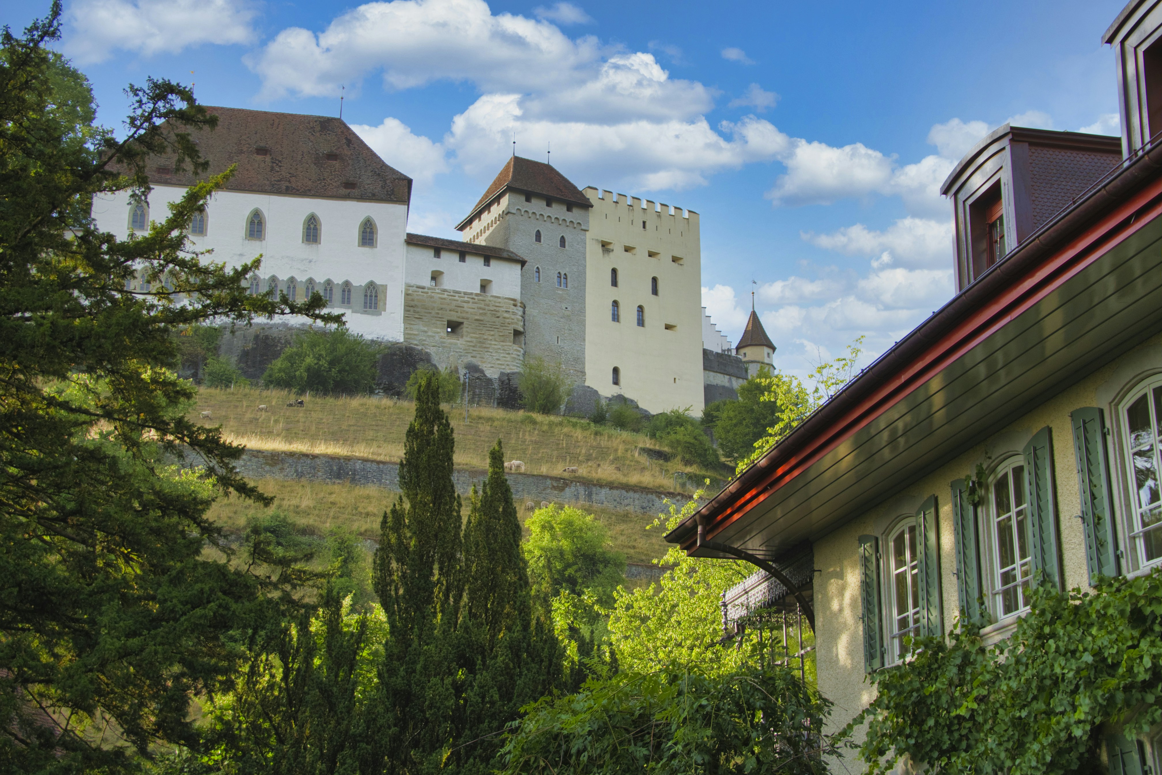 Photo by rolf_switzerland