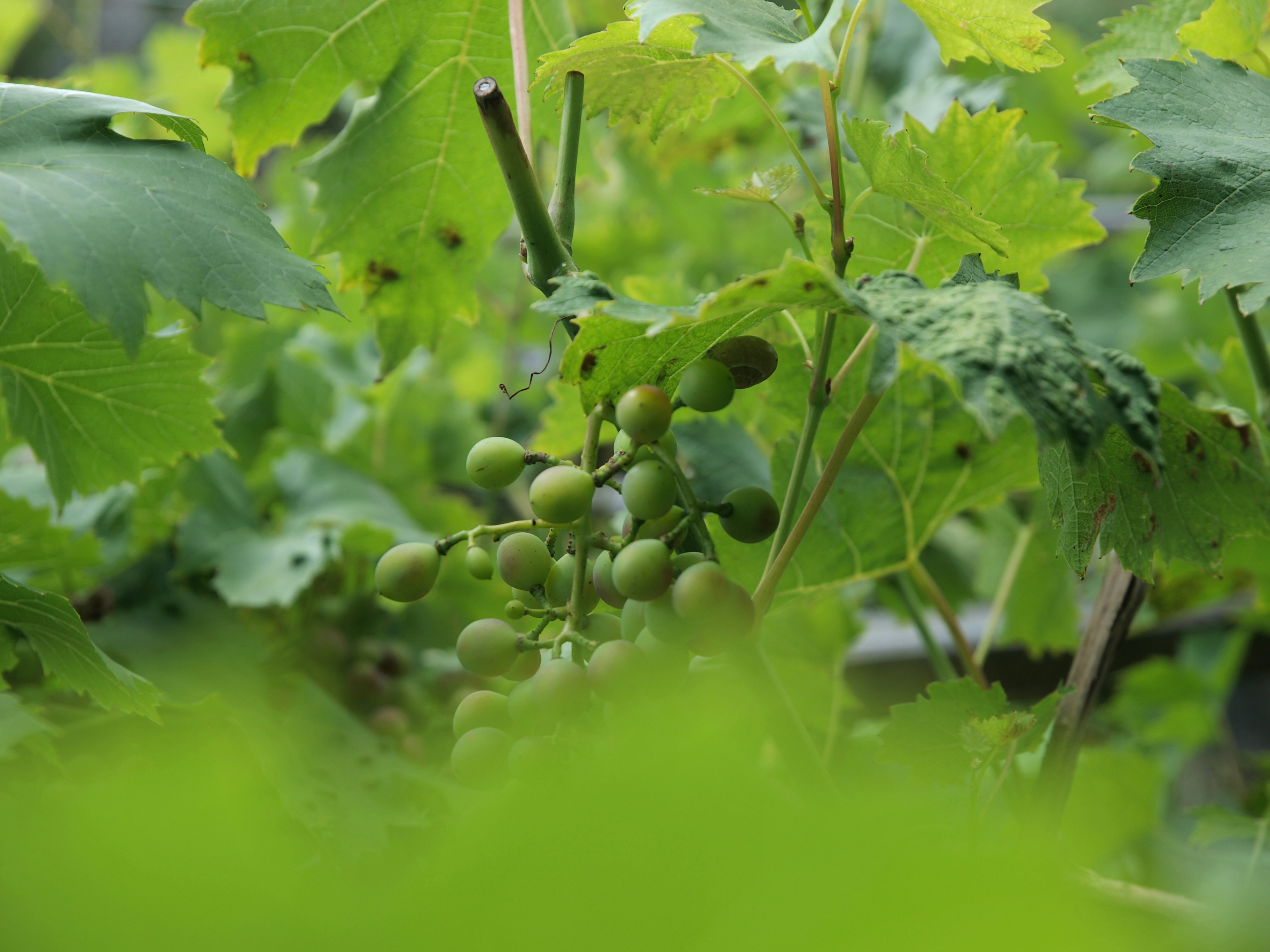 Photo by myworldisblue