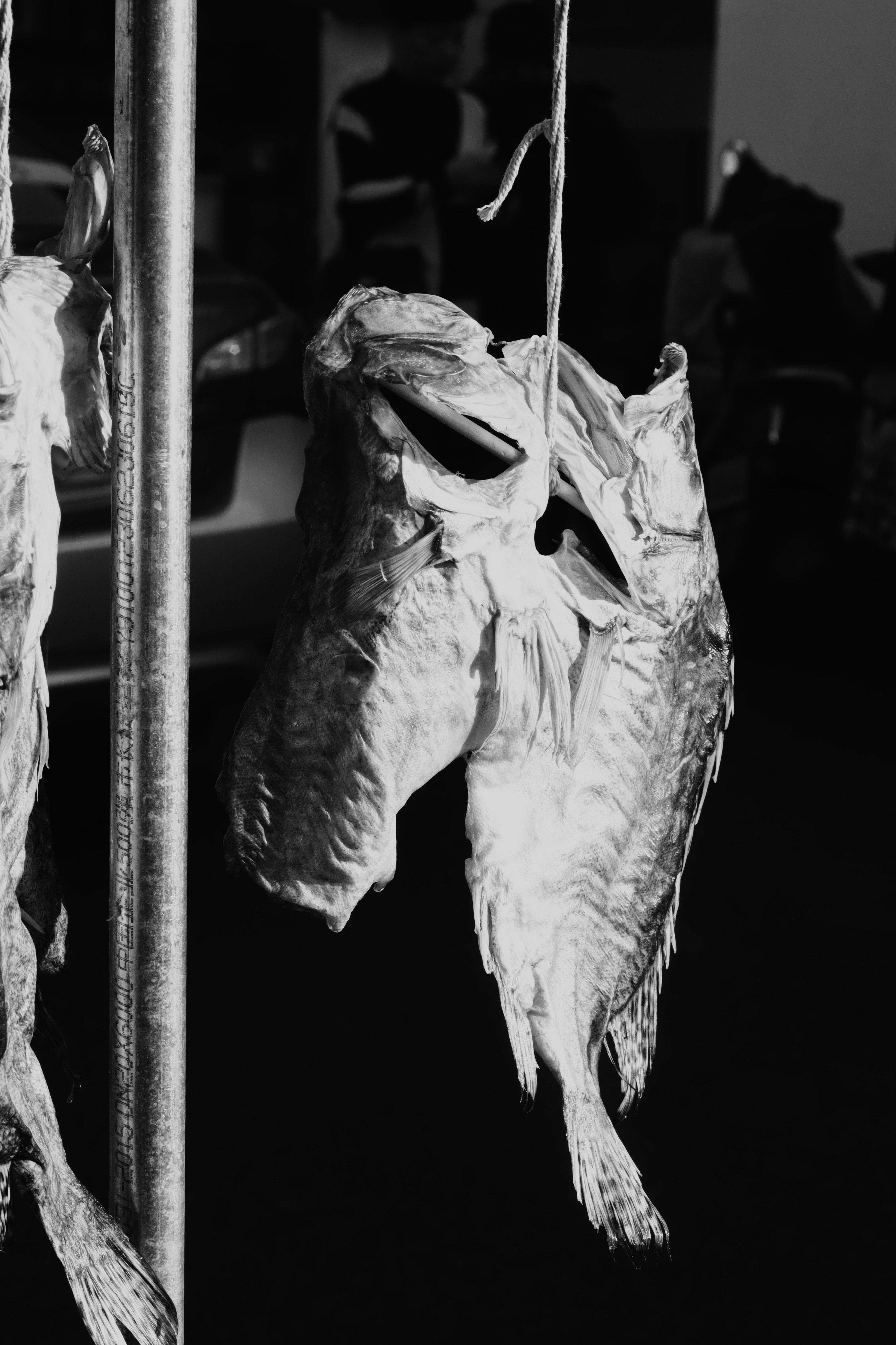 Photo by changhangko