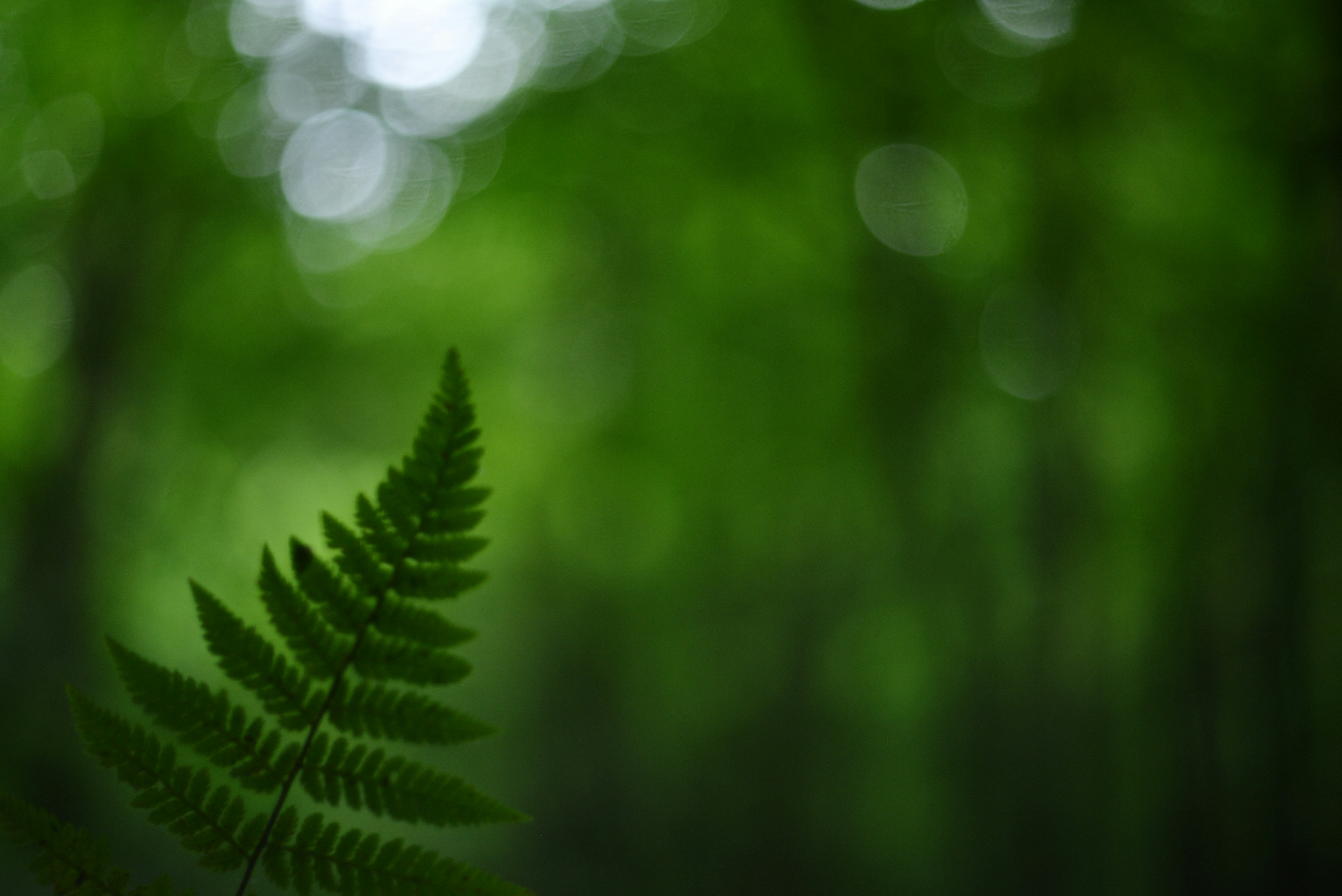 Photo by cherstve_pechivo