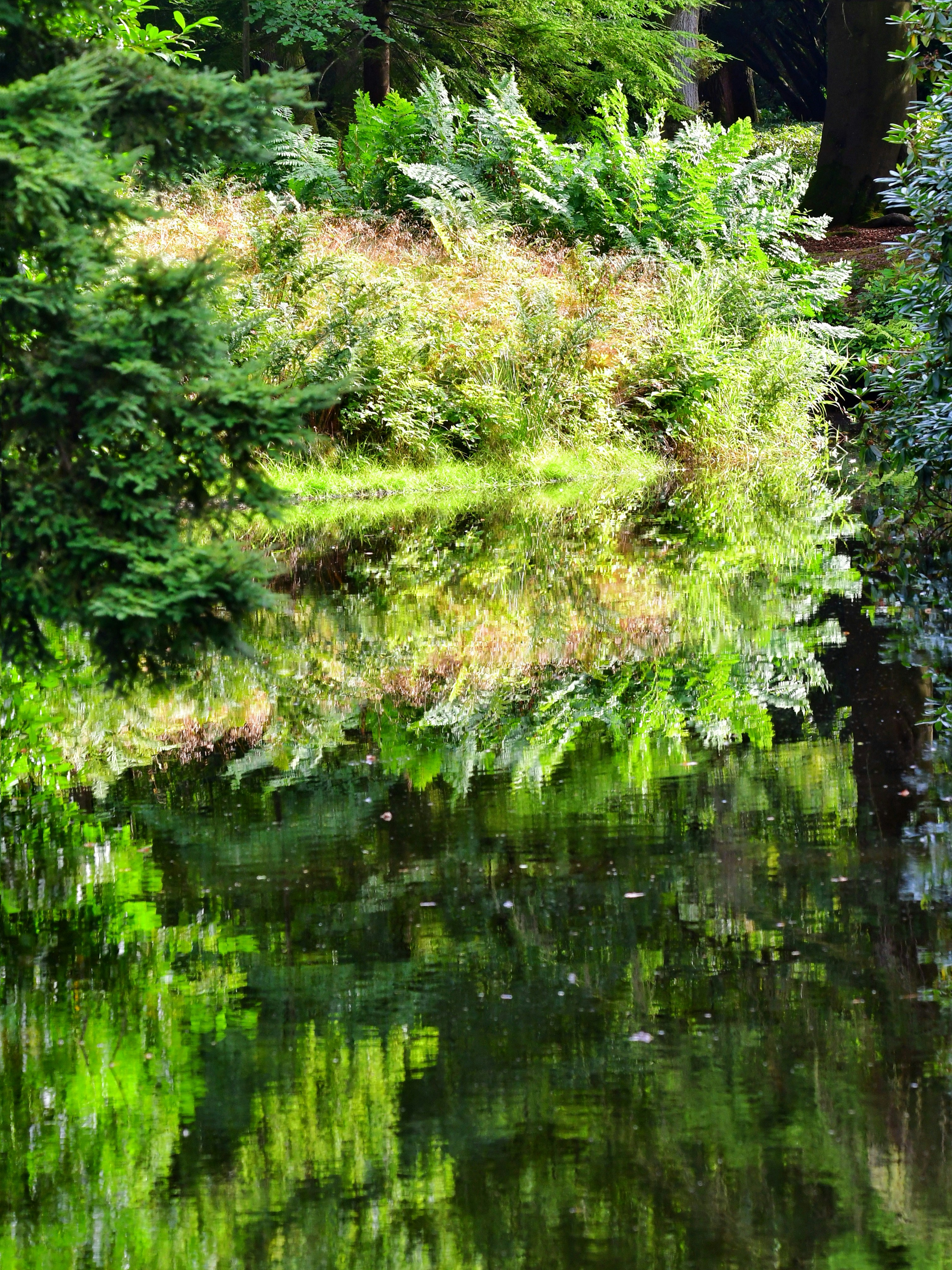 Photo by pedrino5_official