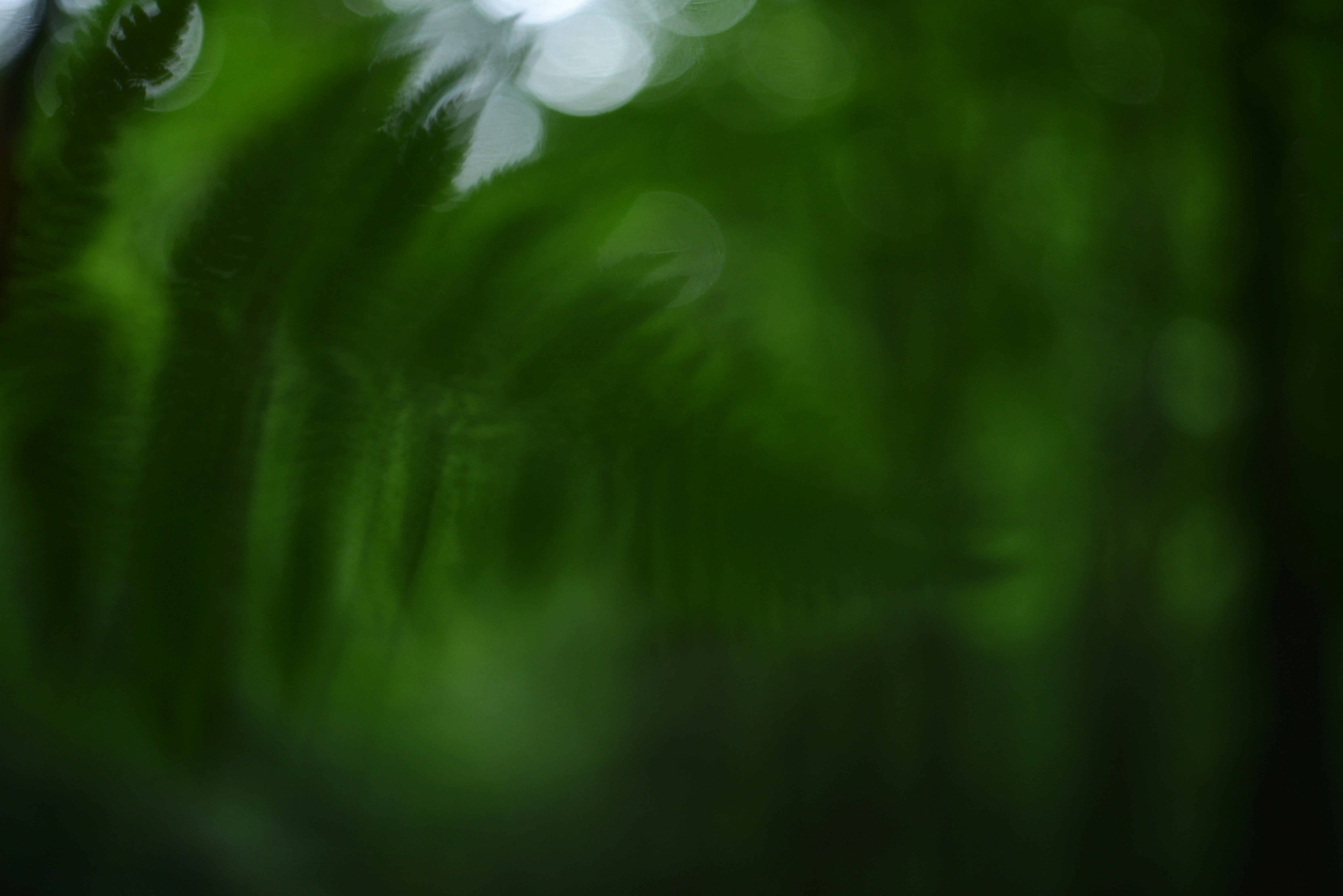 Photo by cherstve_pechivo