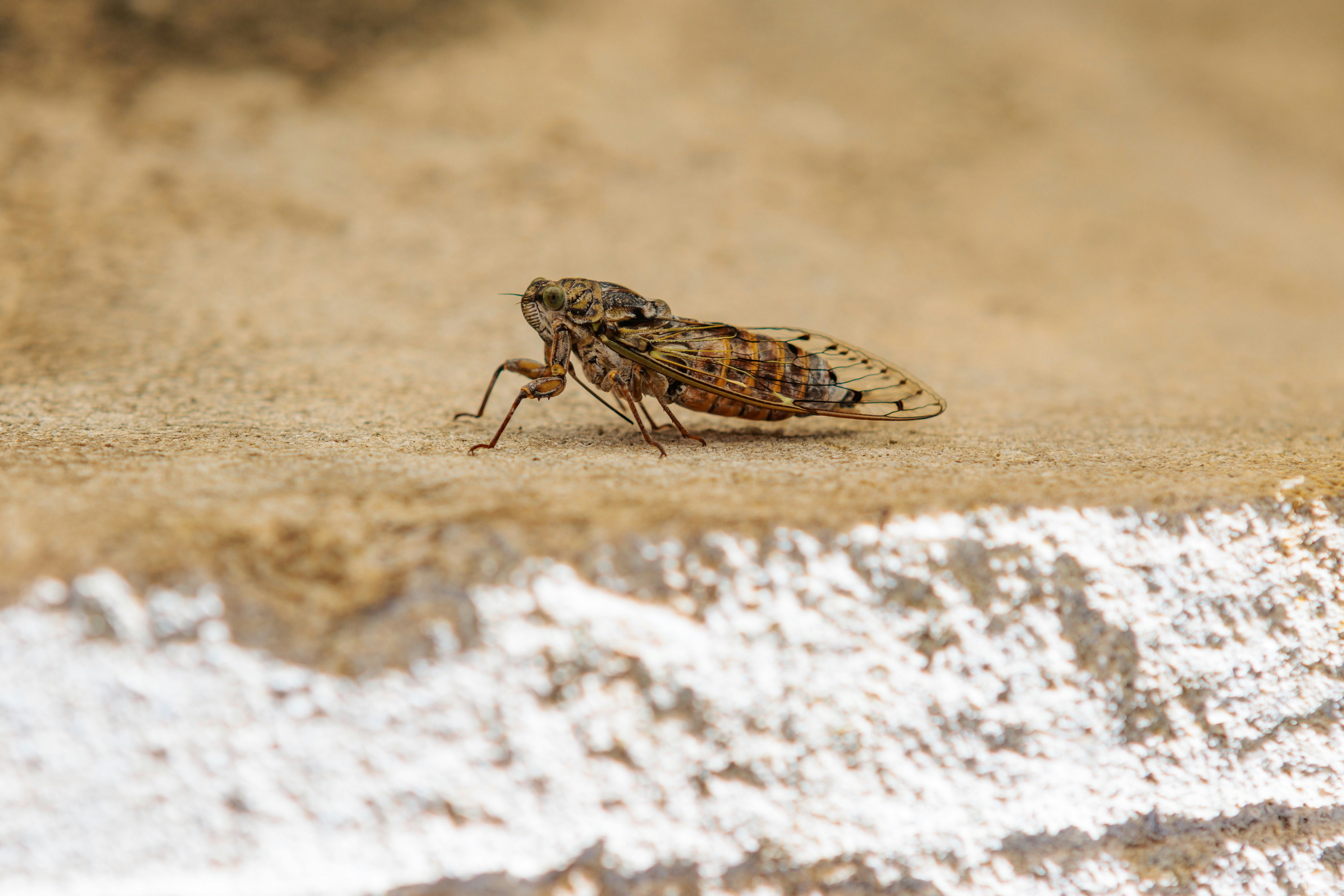 Photo by bvanbreukelen