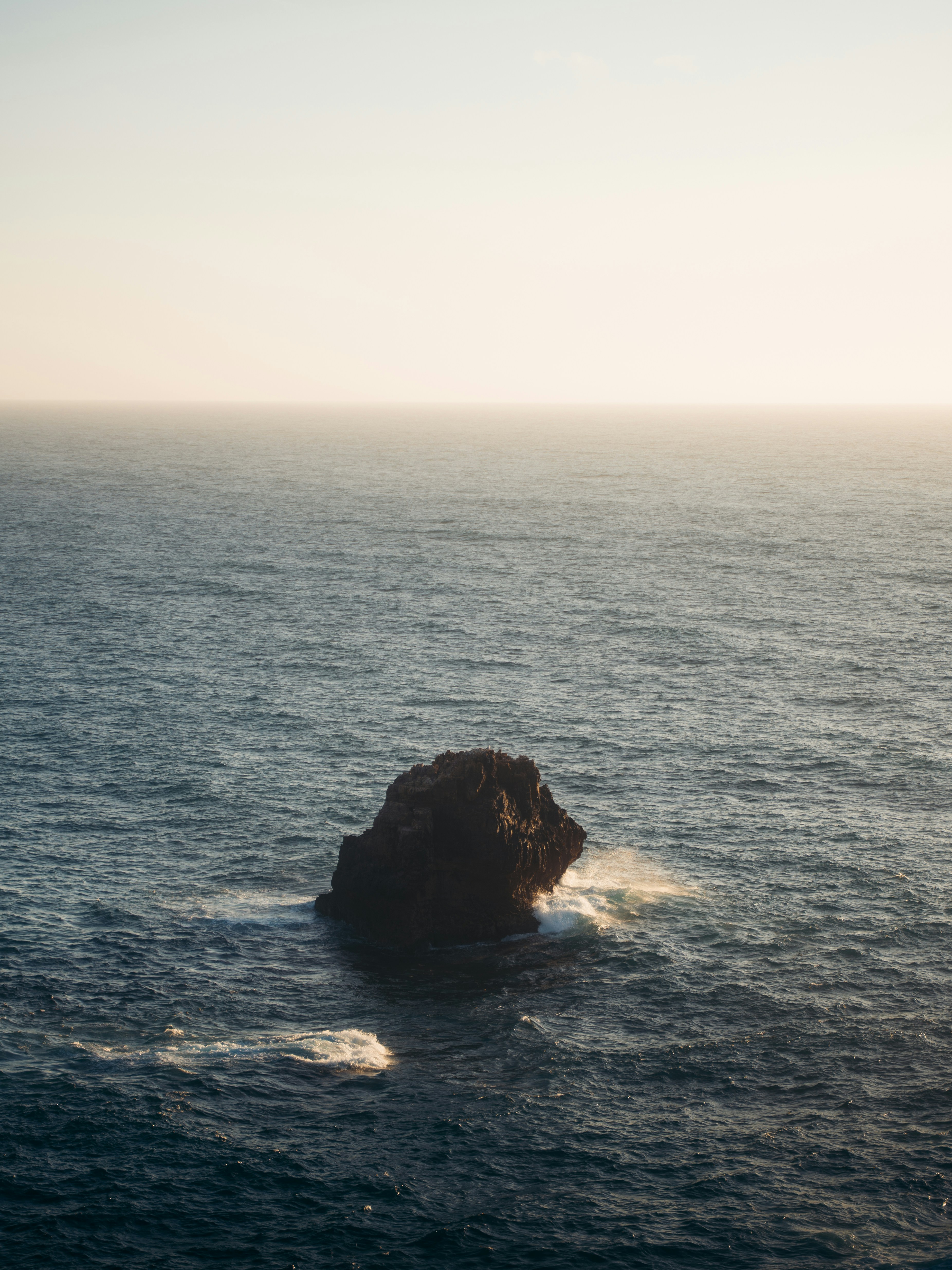 Photo by michielannaert