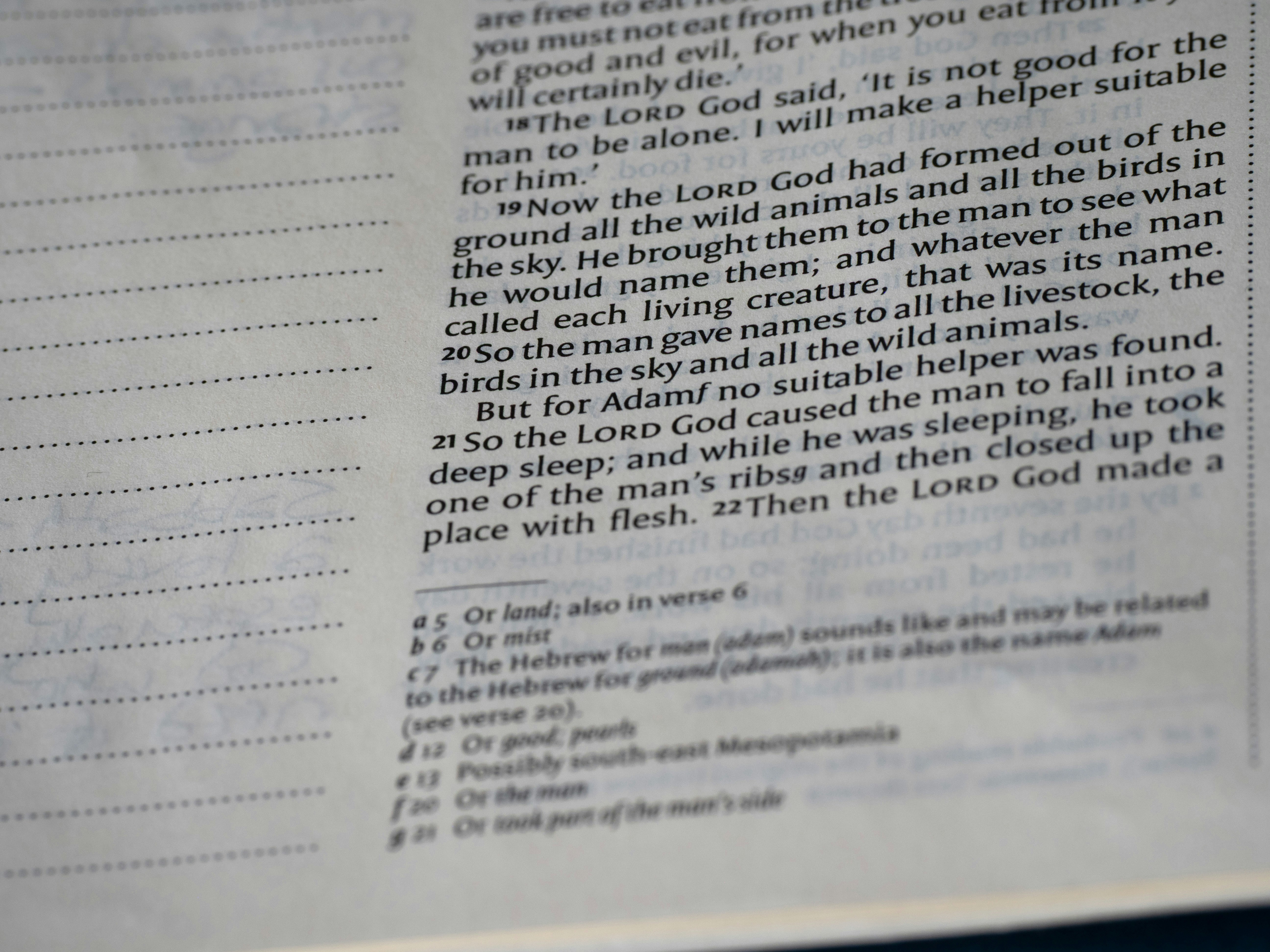 Cuaderno con apuntes de análisis táctico y mercados de apuestas