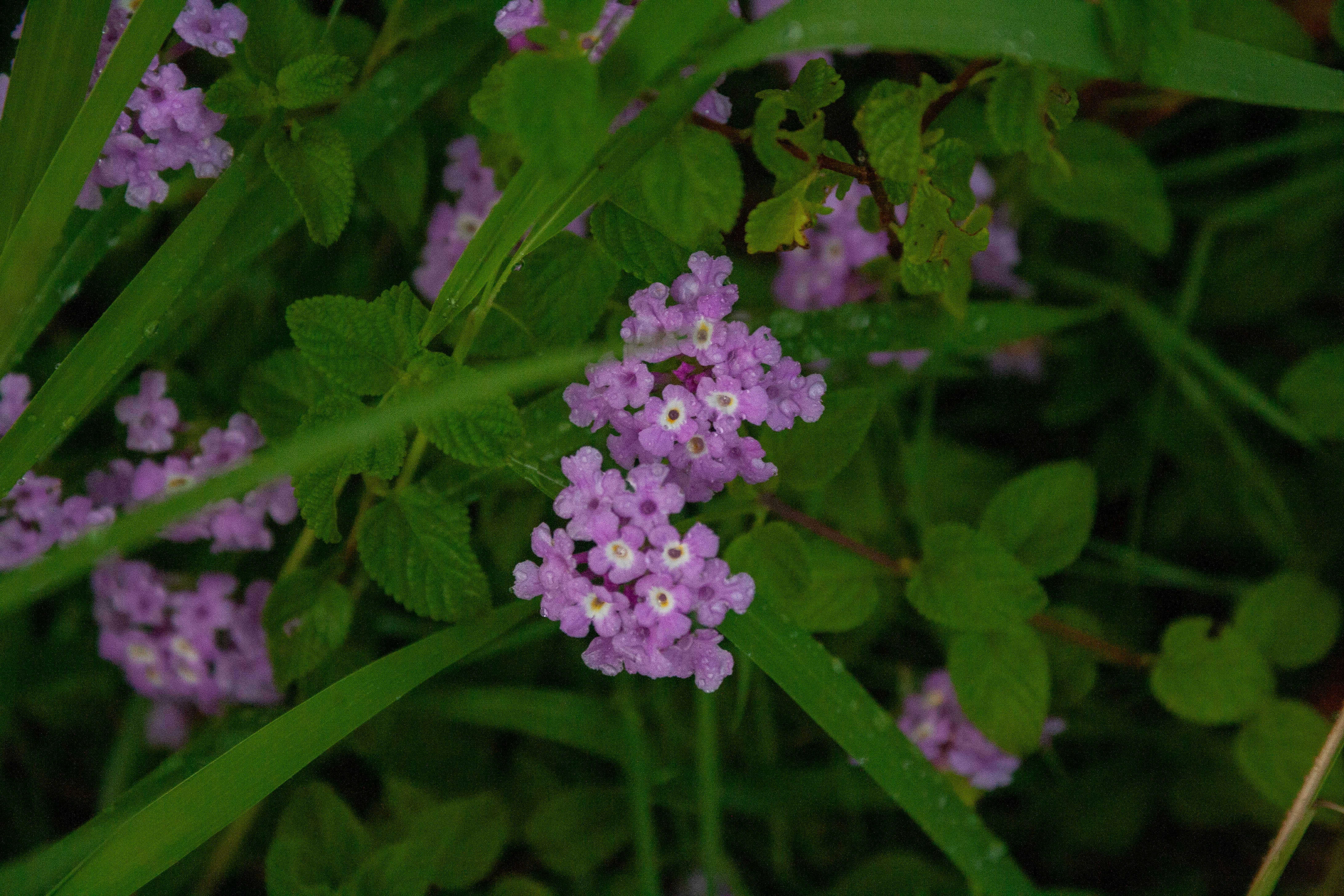 Photo by candice56508