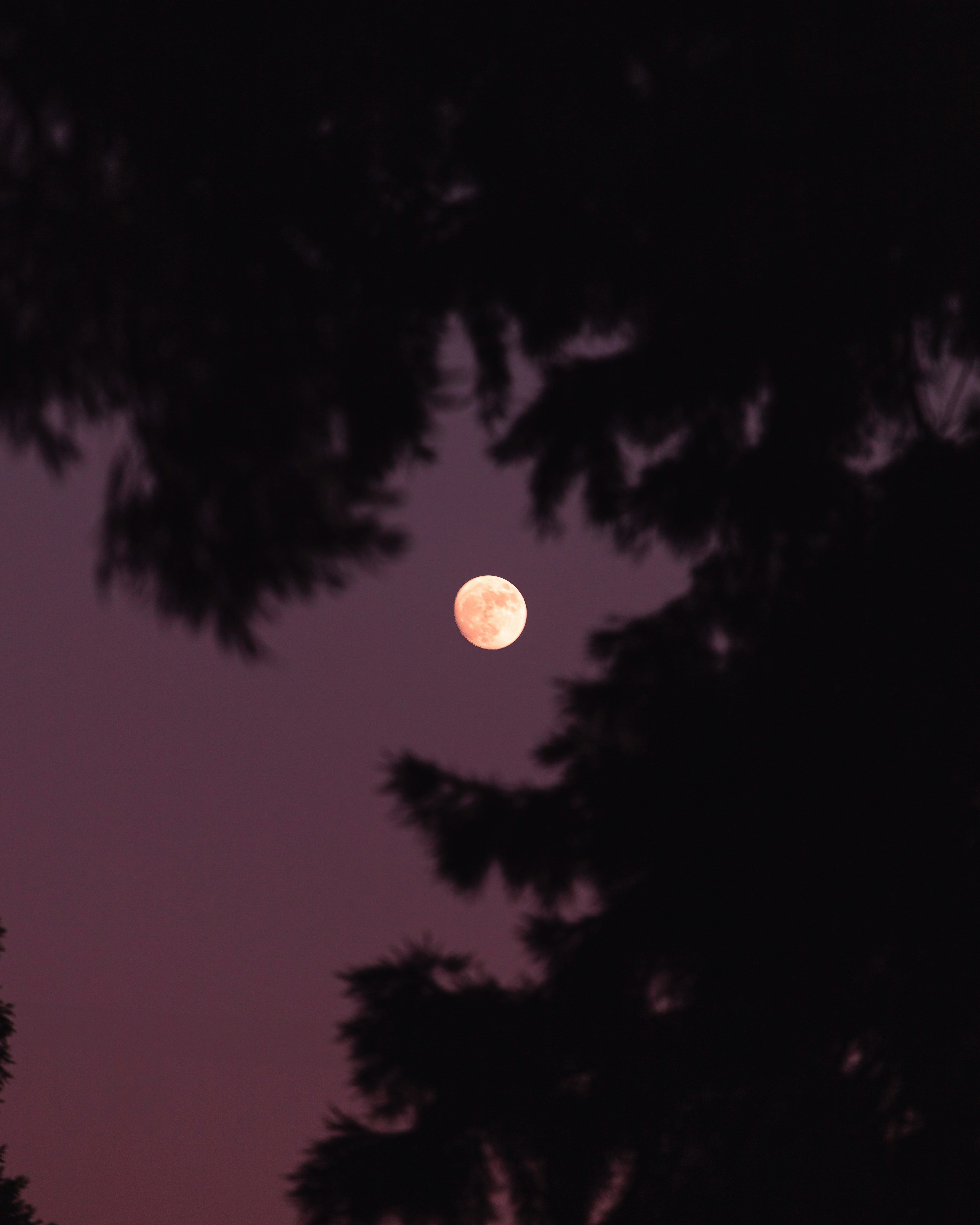 Photo by atdadphotography