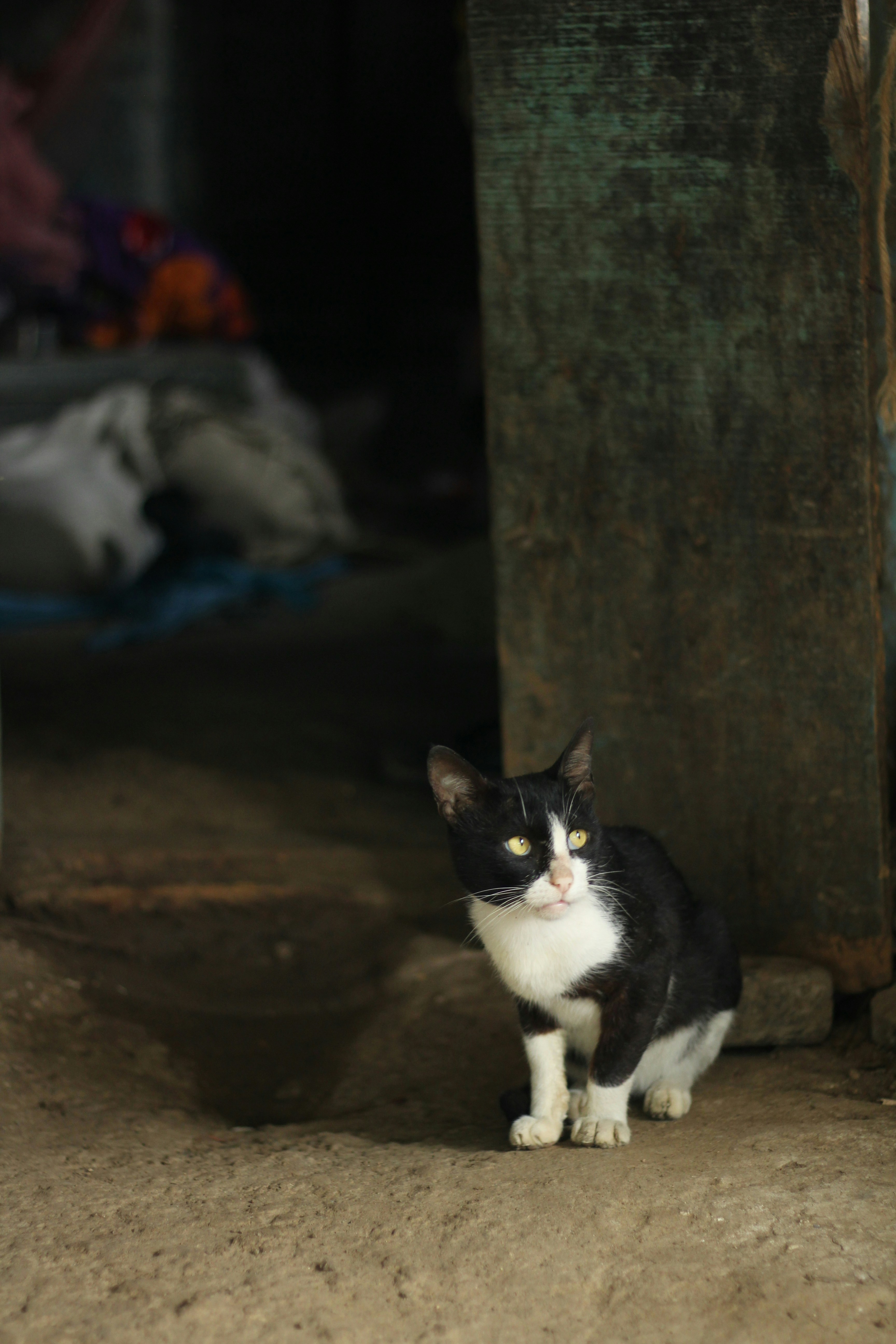 Photo by bhatia_rashmi