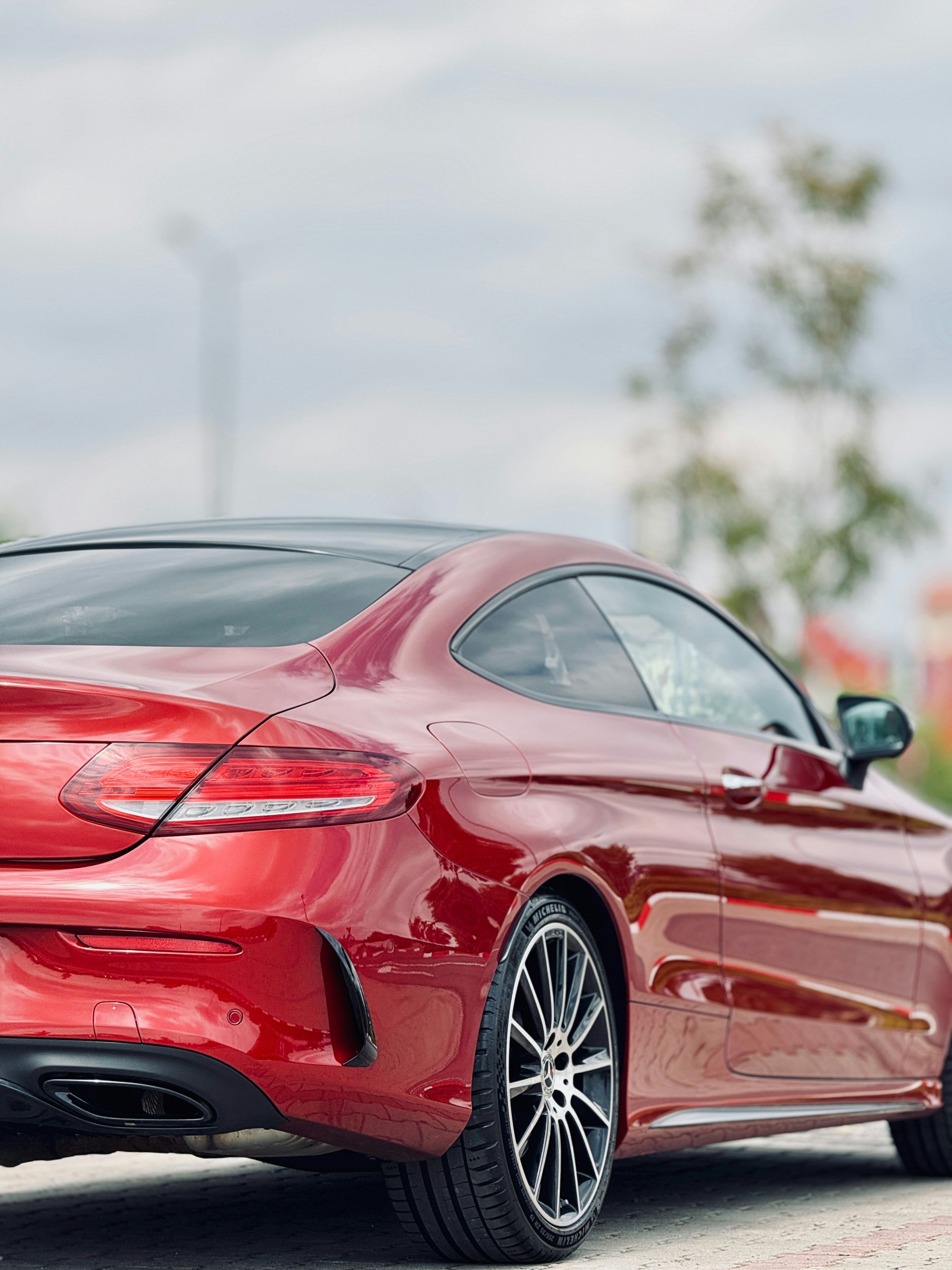 Photo by sarurobert1