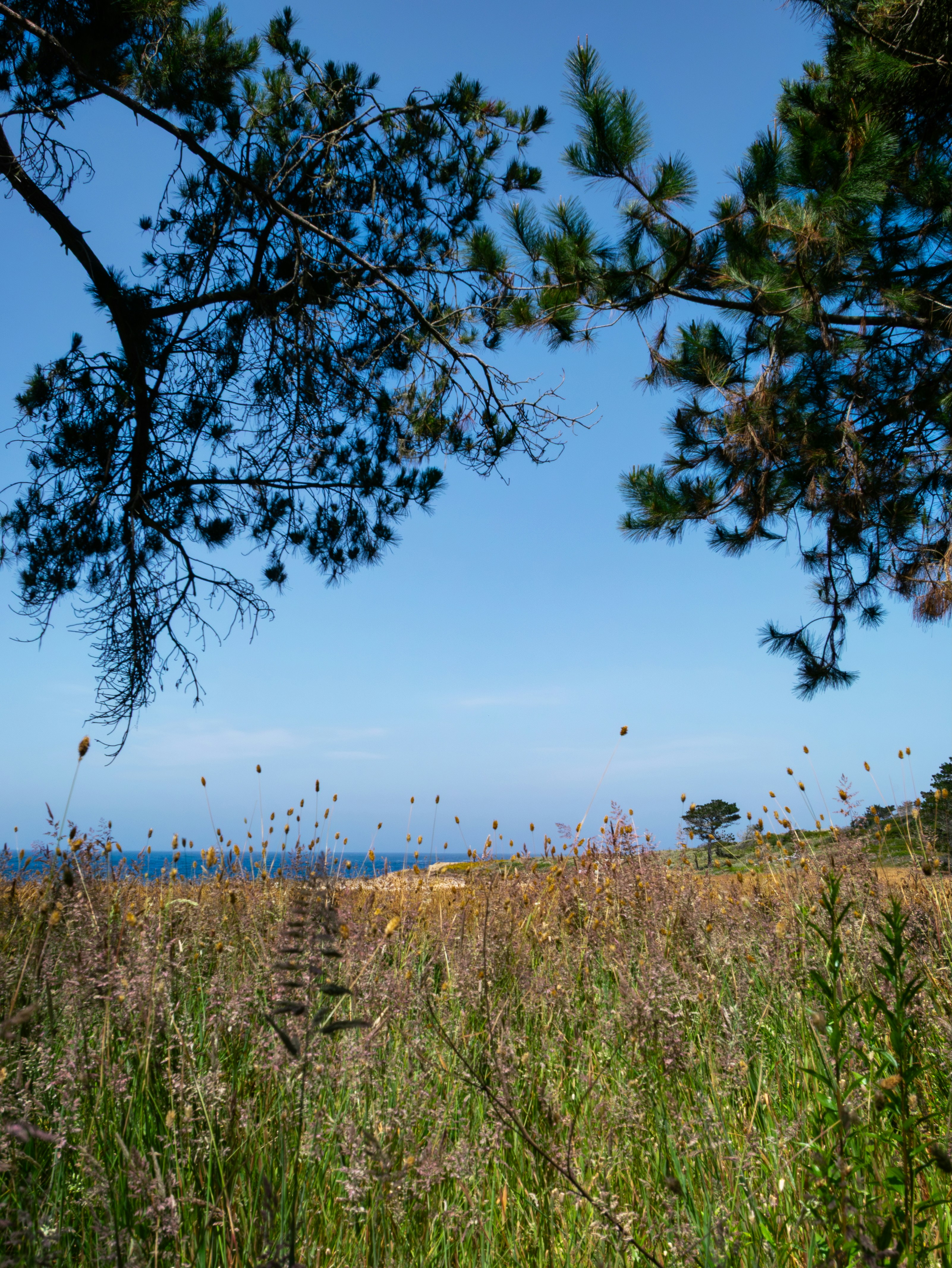 Photo by macaollarzu