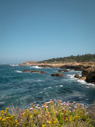 Rocky coastline meets the ocean under a bright blue sky.