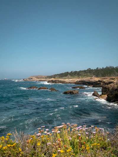 Rocky coastline meets the ocean under a bright blue sky.