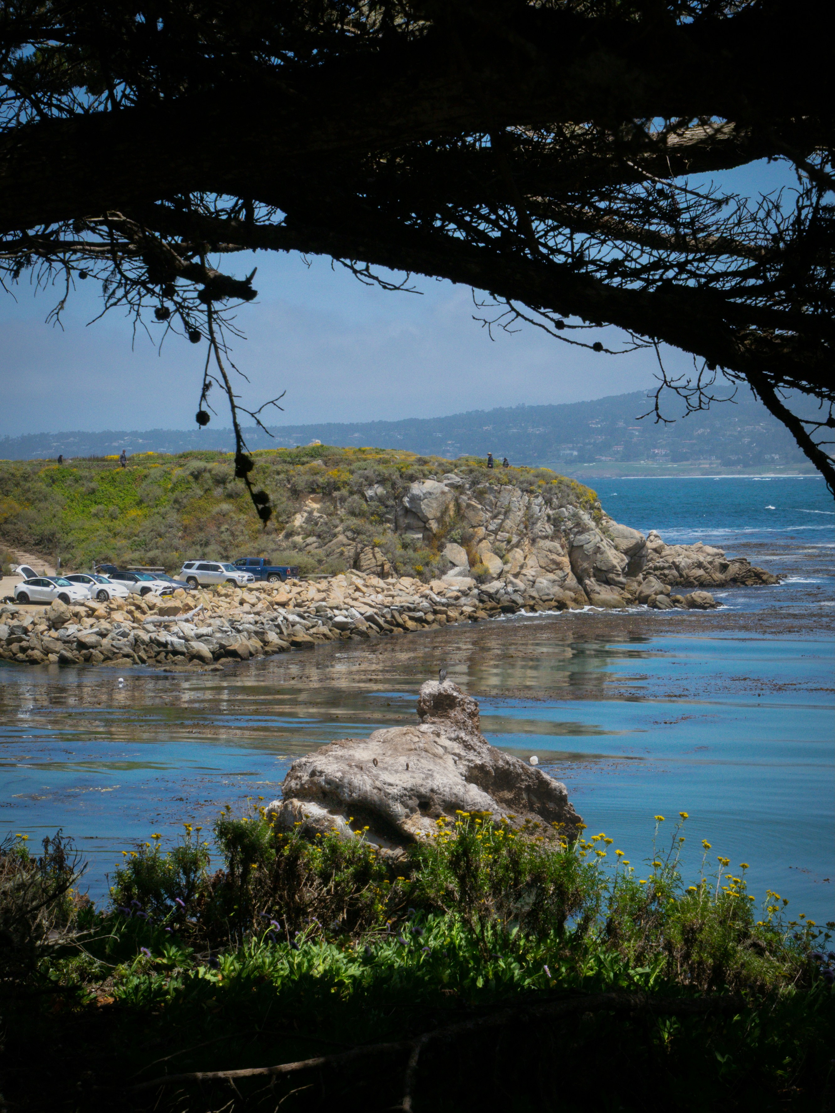 Photo by macaollarzu