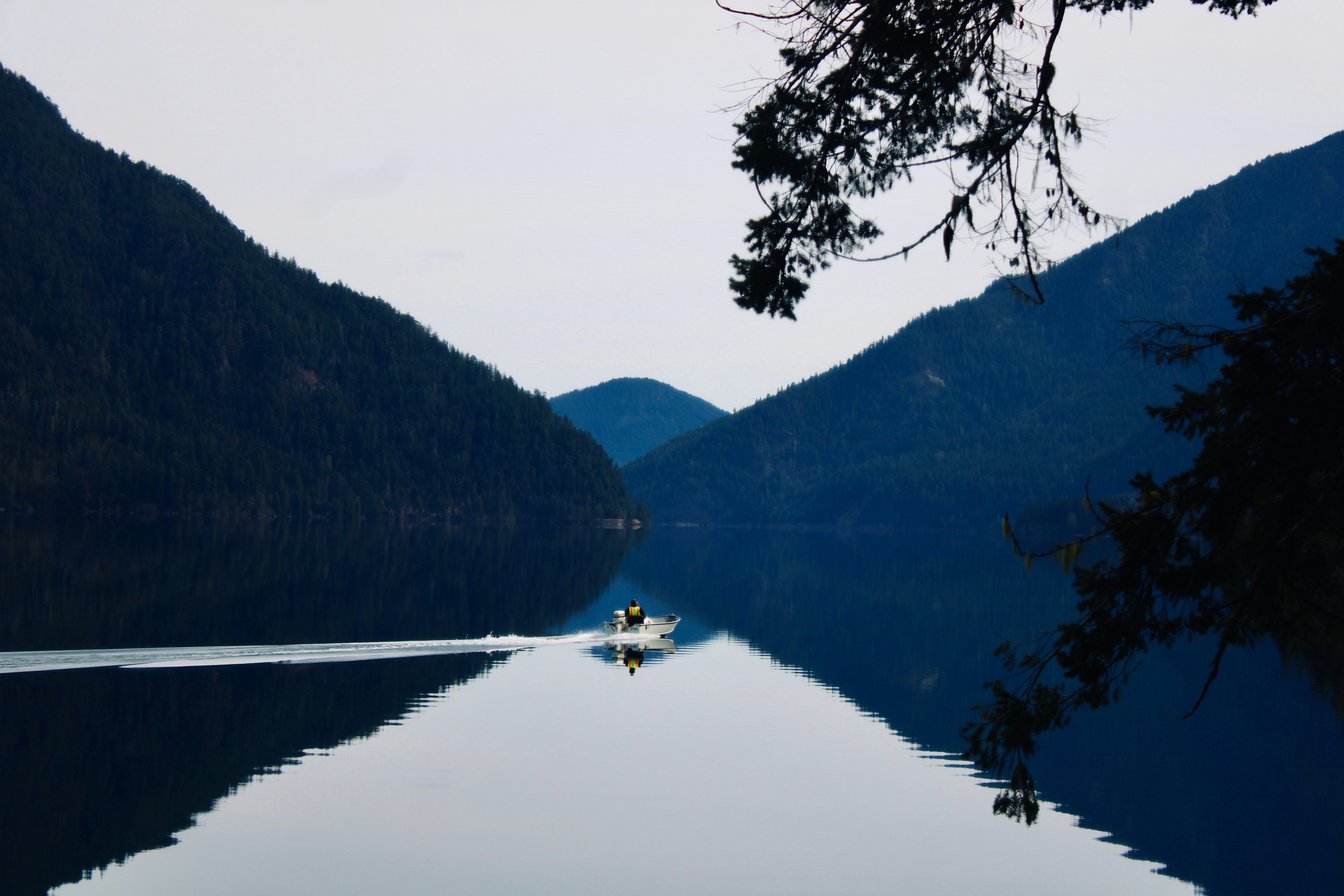 Photo by luvinhorses