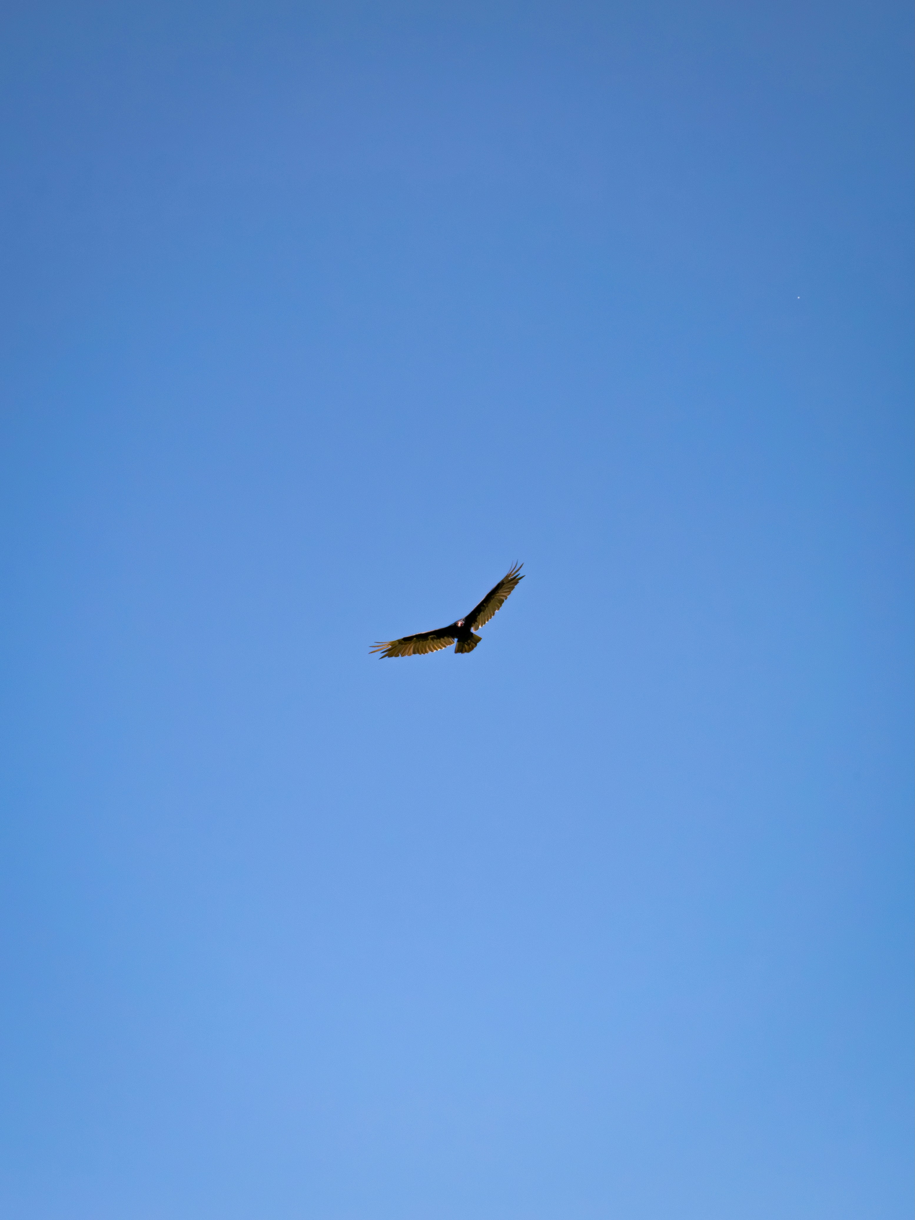 Photo by macaollarzu