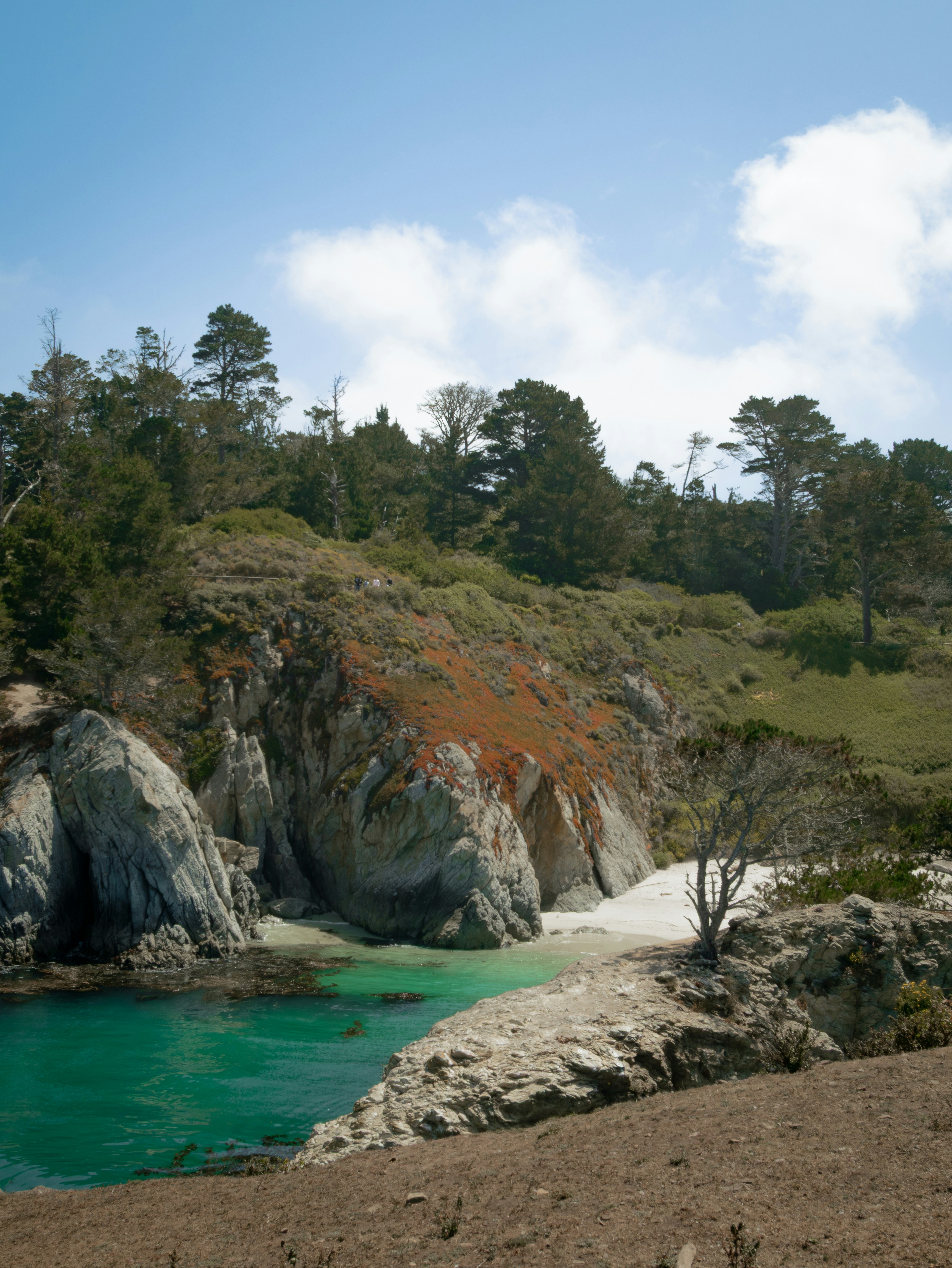 Photo by macaollarzu