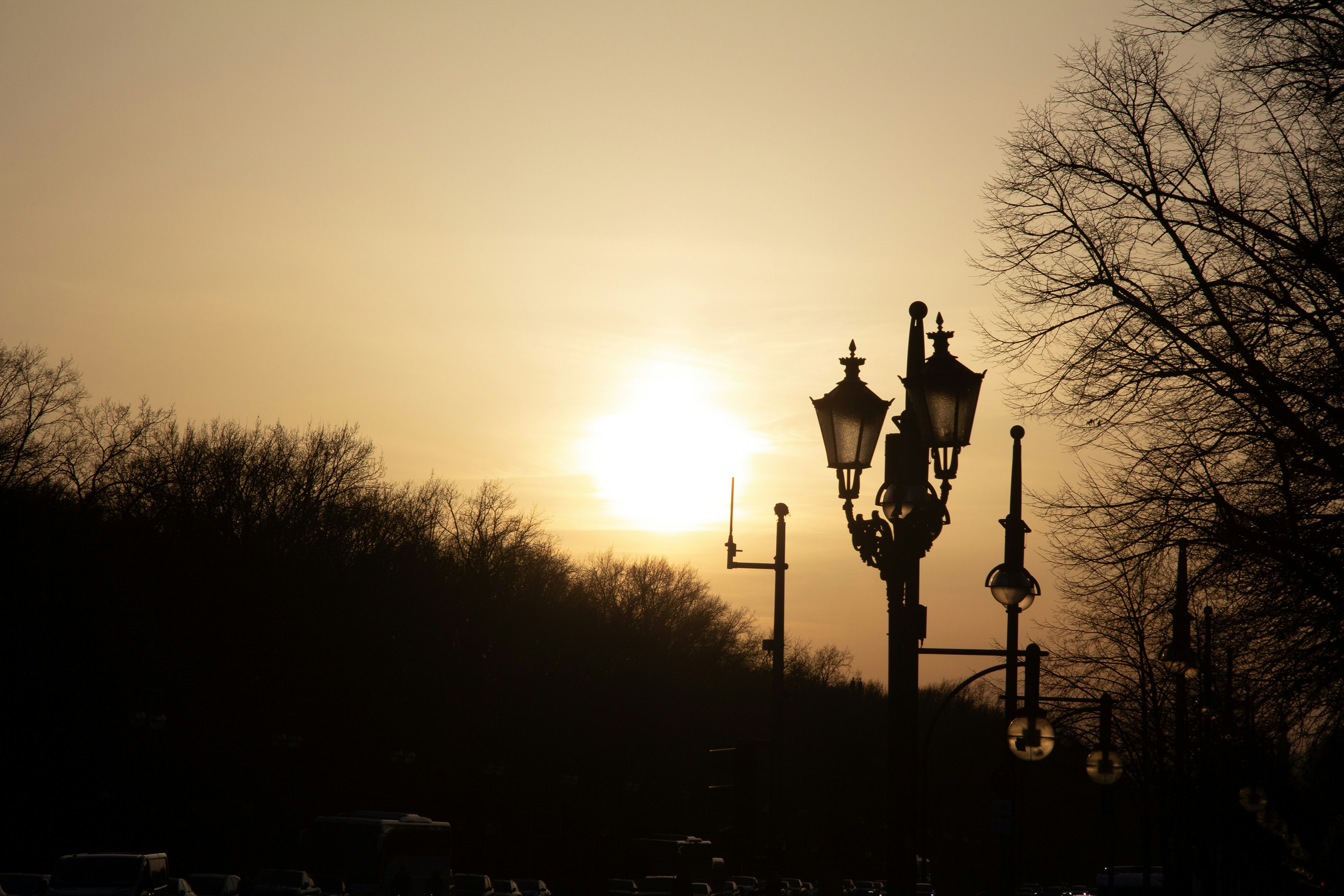 Sunset silhouettes trees and ornate lampposts.