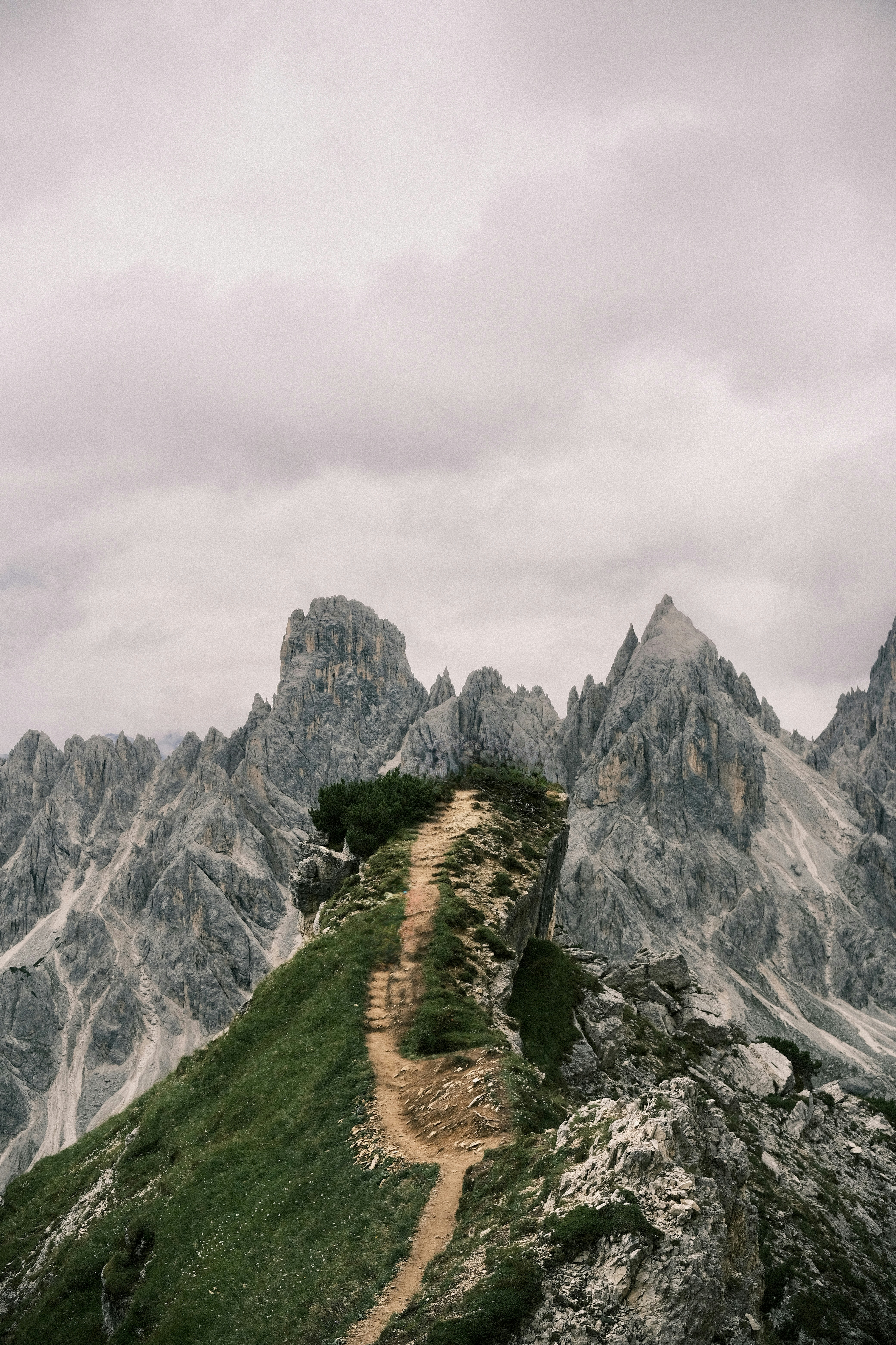 Photo by niklasjesper