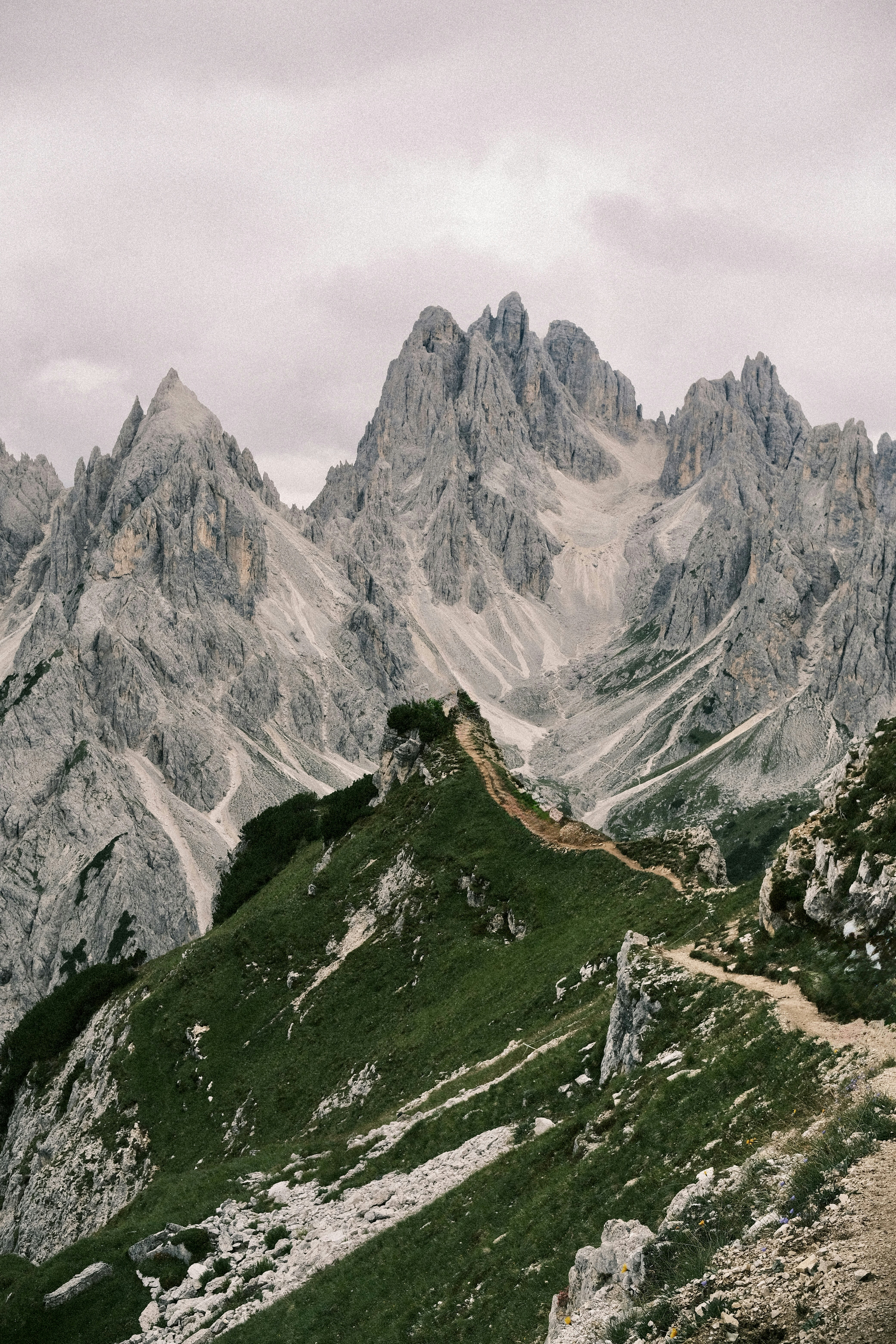 Photo by niklasjesper