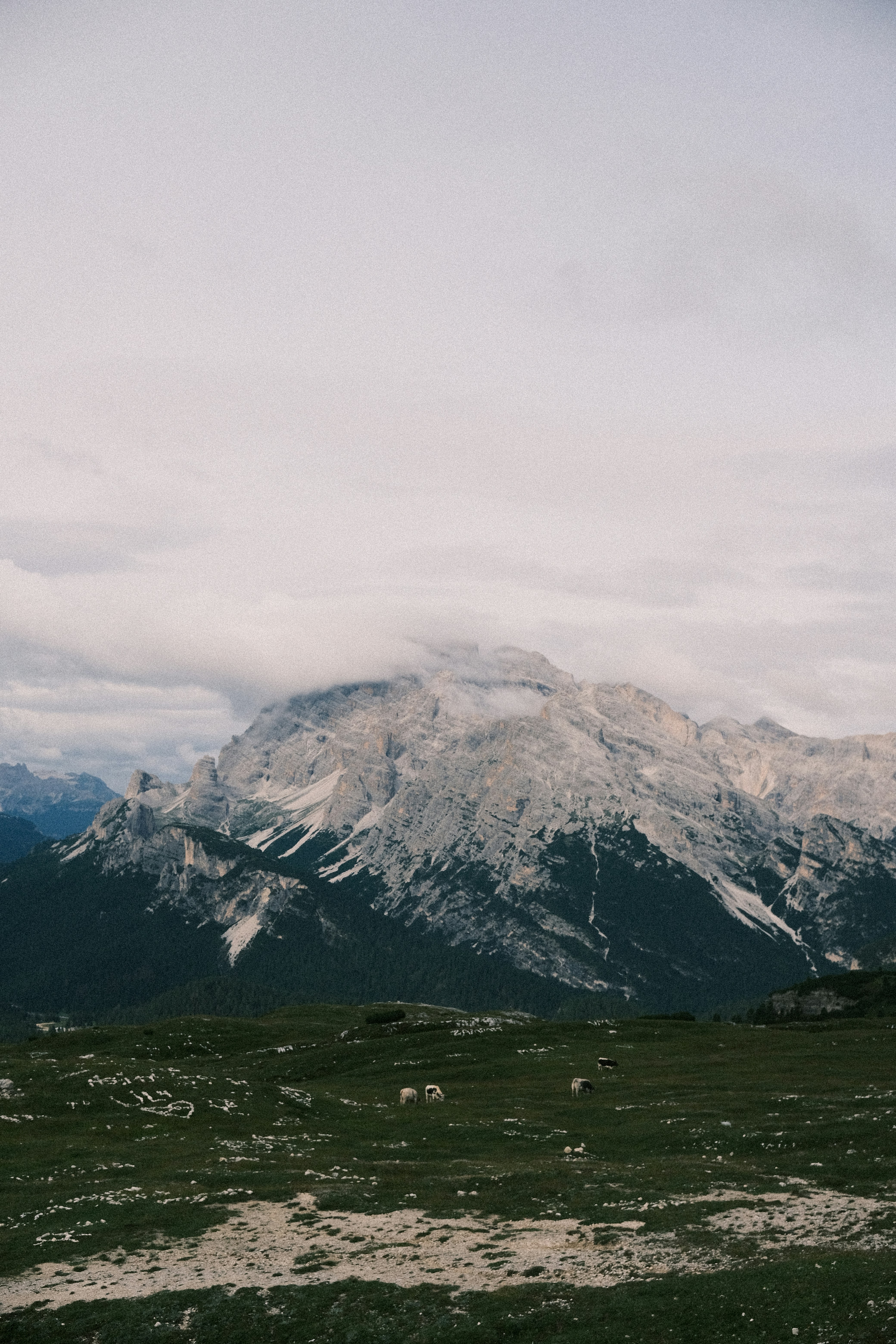 Photo by niklasjesper