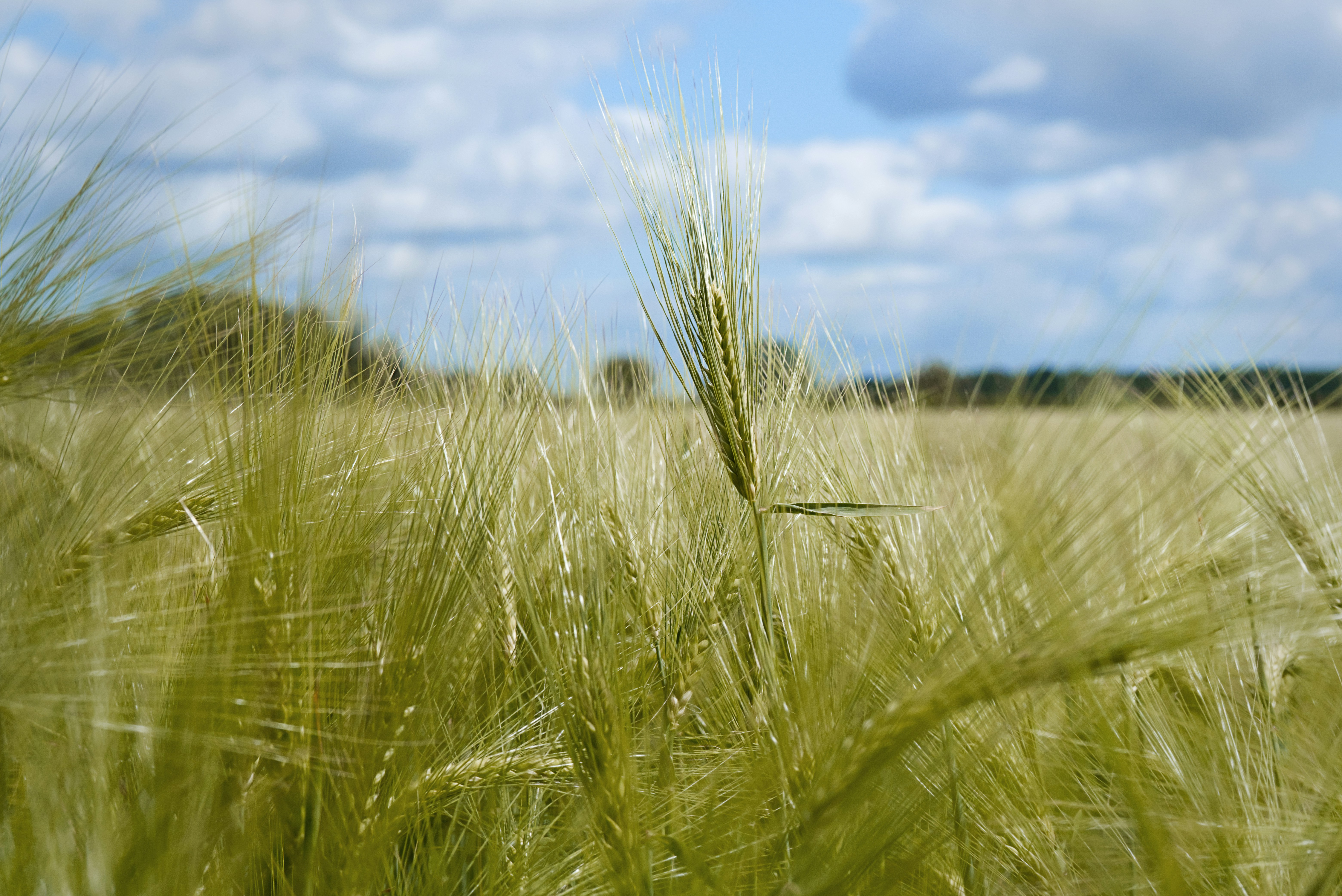 Photo by packetdiscards