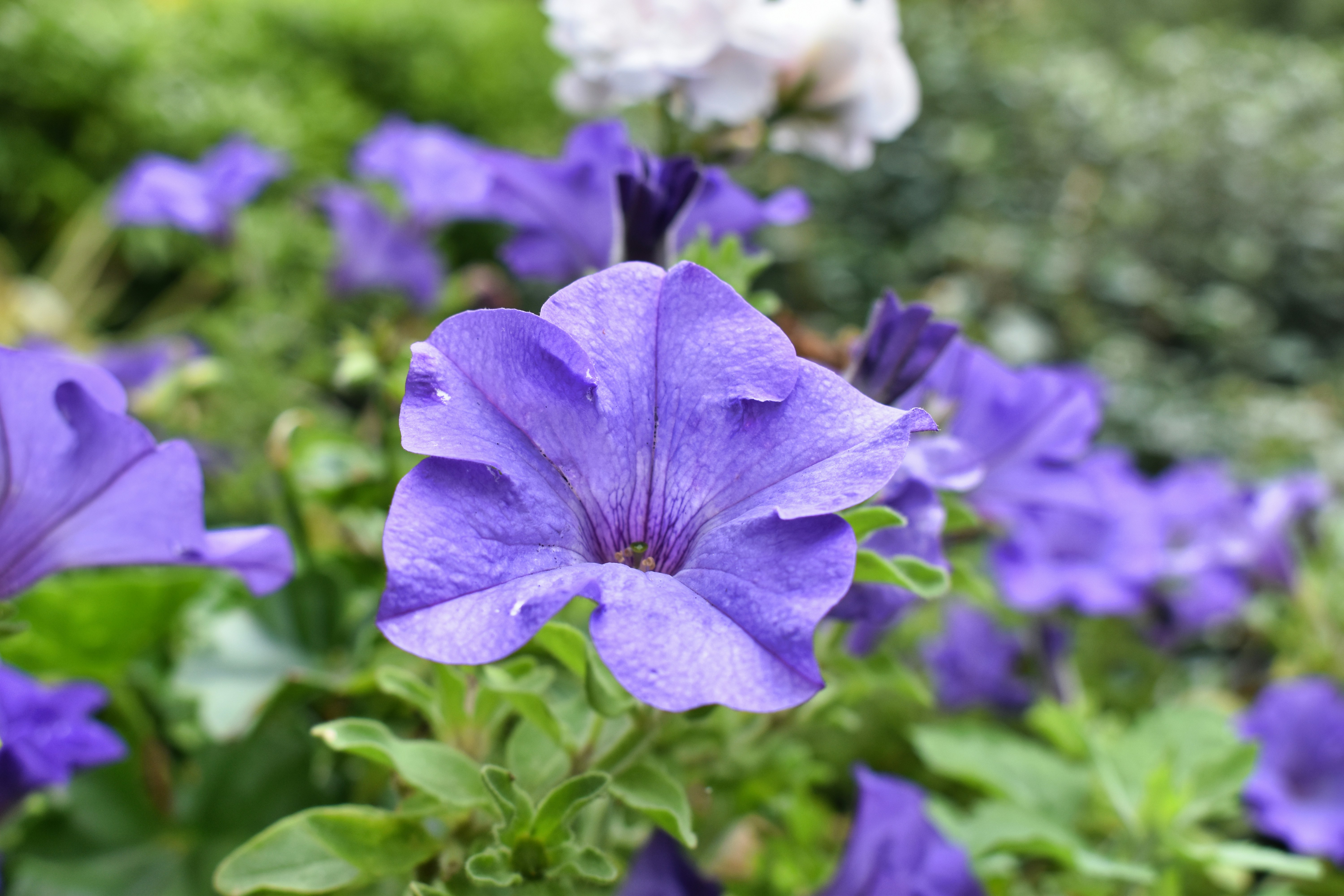 Photo by andrew_hall