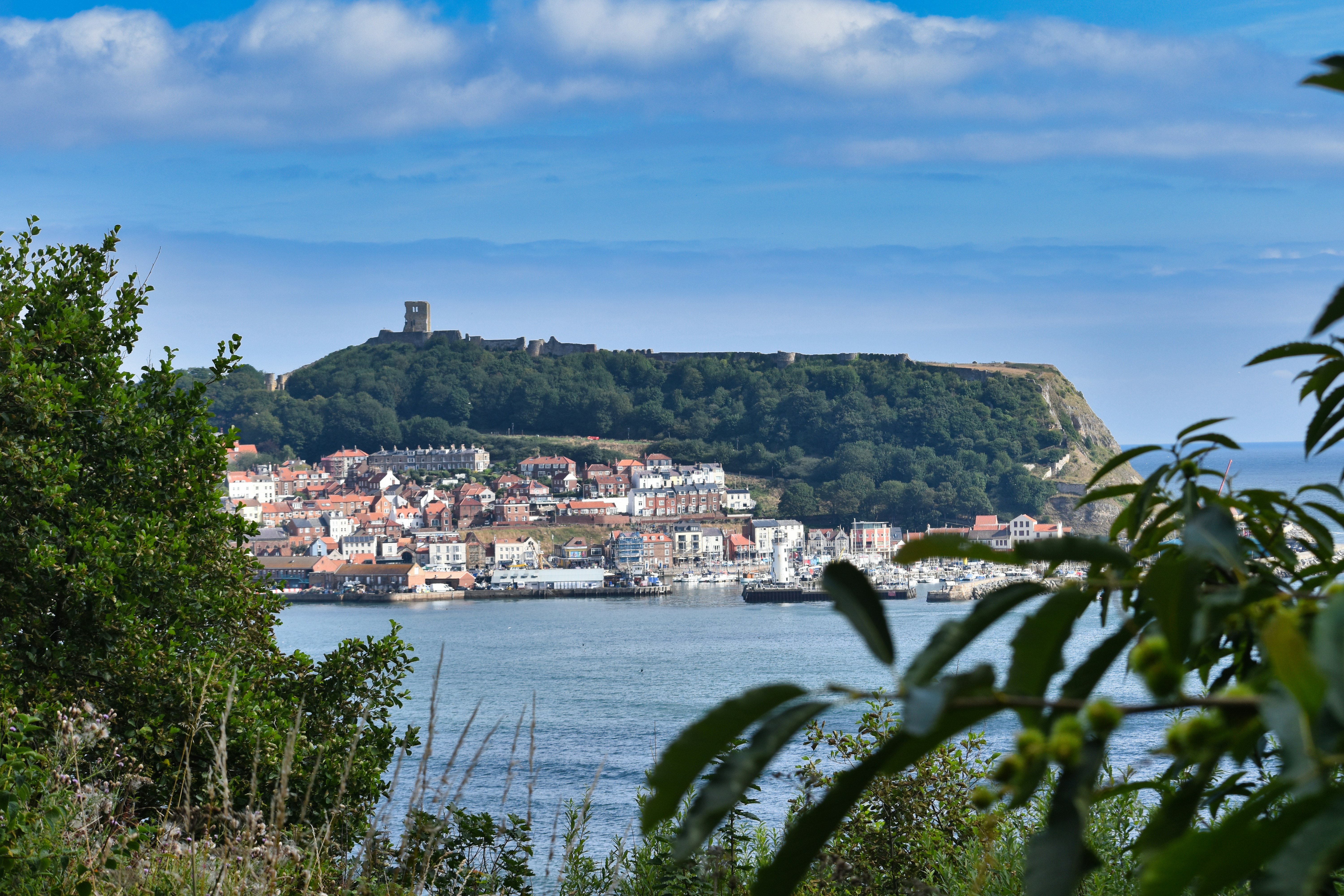 Photo by andrew_hall