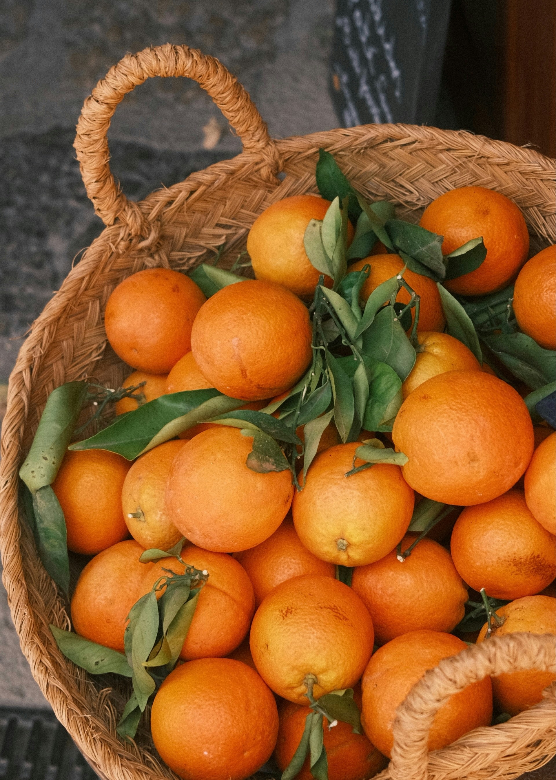 Photo by sophievanburkom