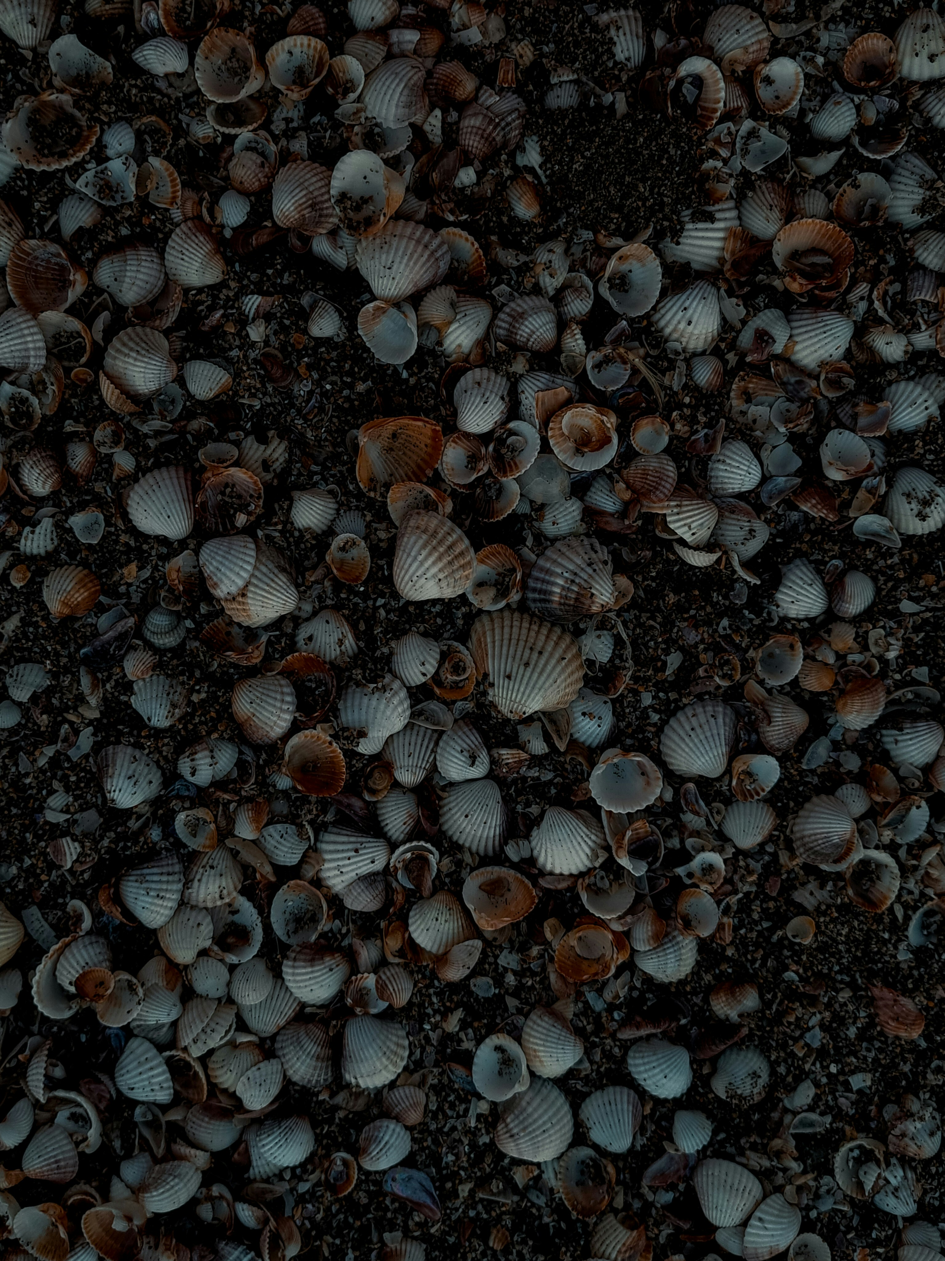 Photo by photo_setayesh