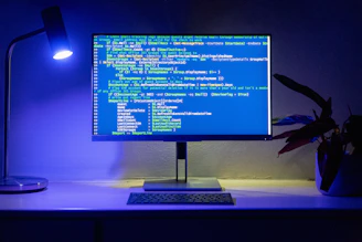 Code is displayed on a computer monitor.