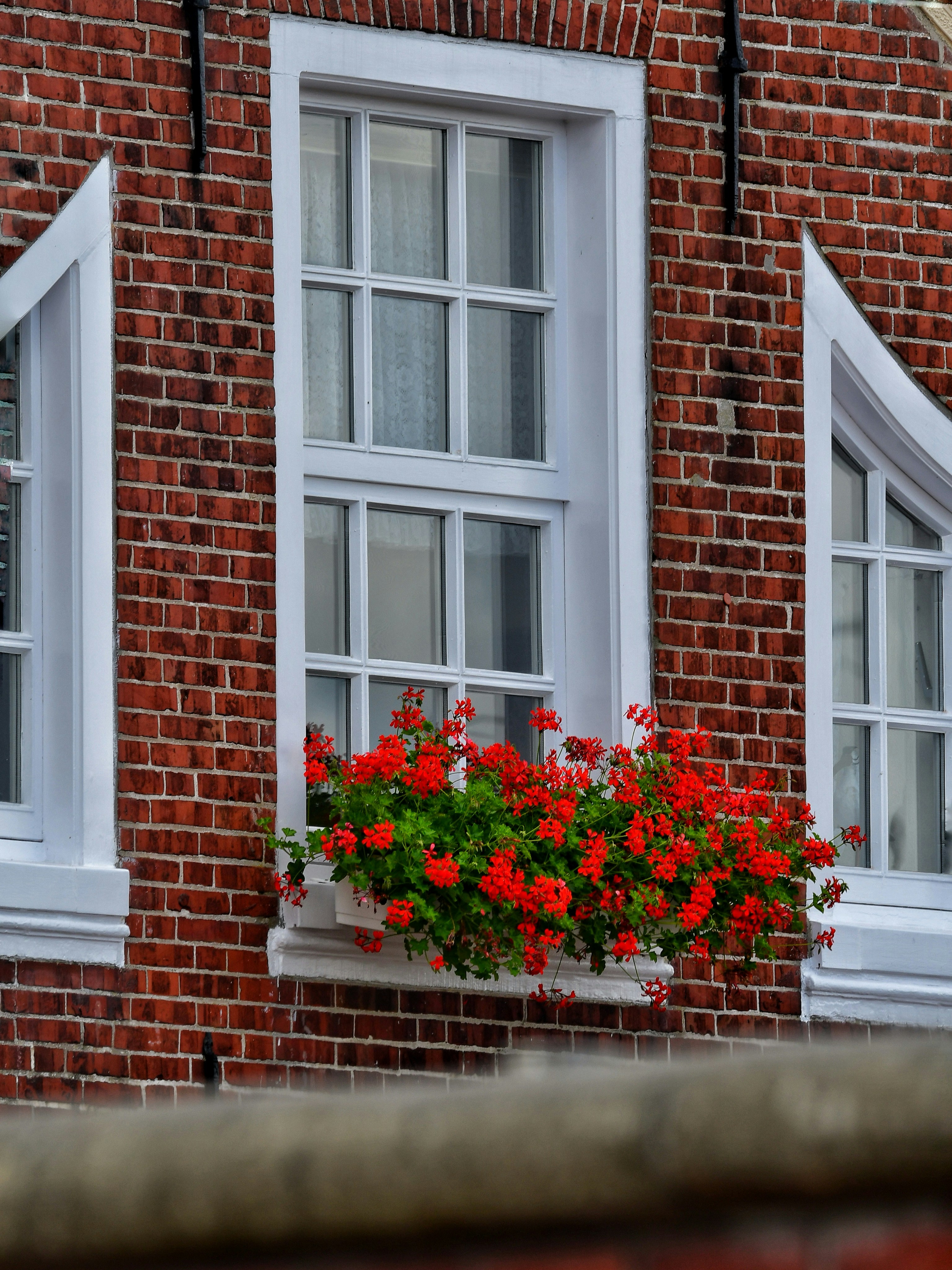 Photo by pedrino5_official