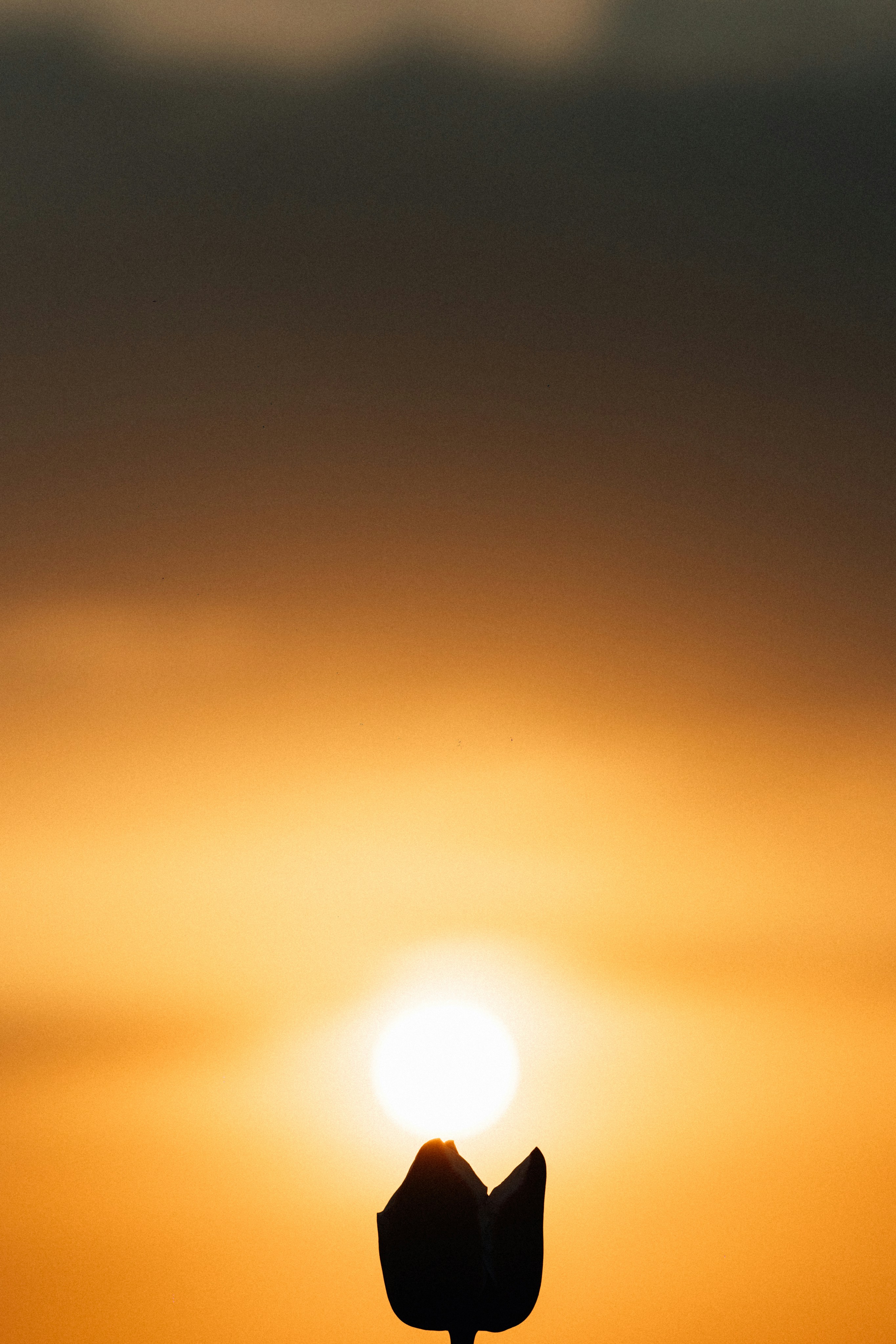 Photo by tsuyoshikozu