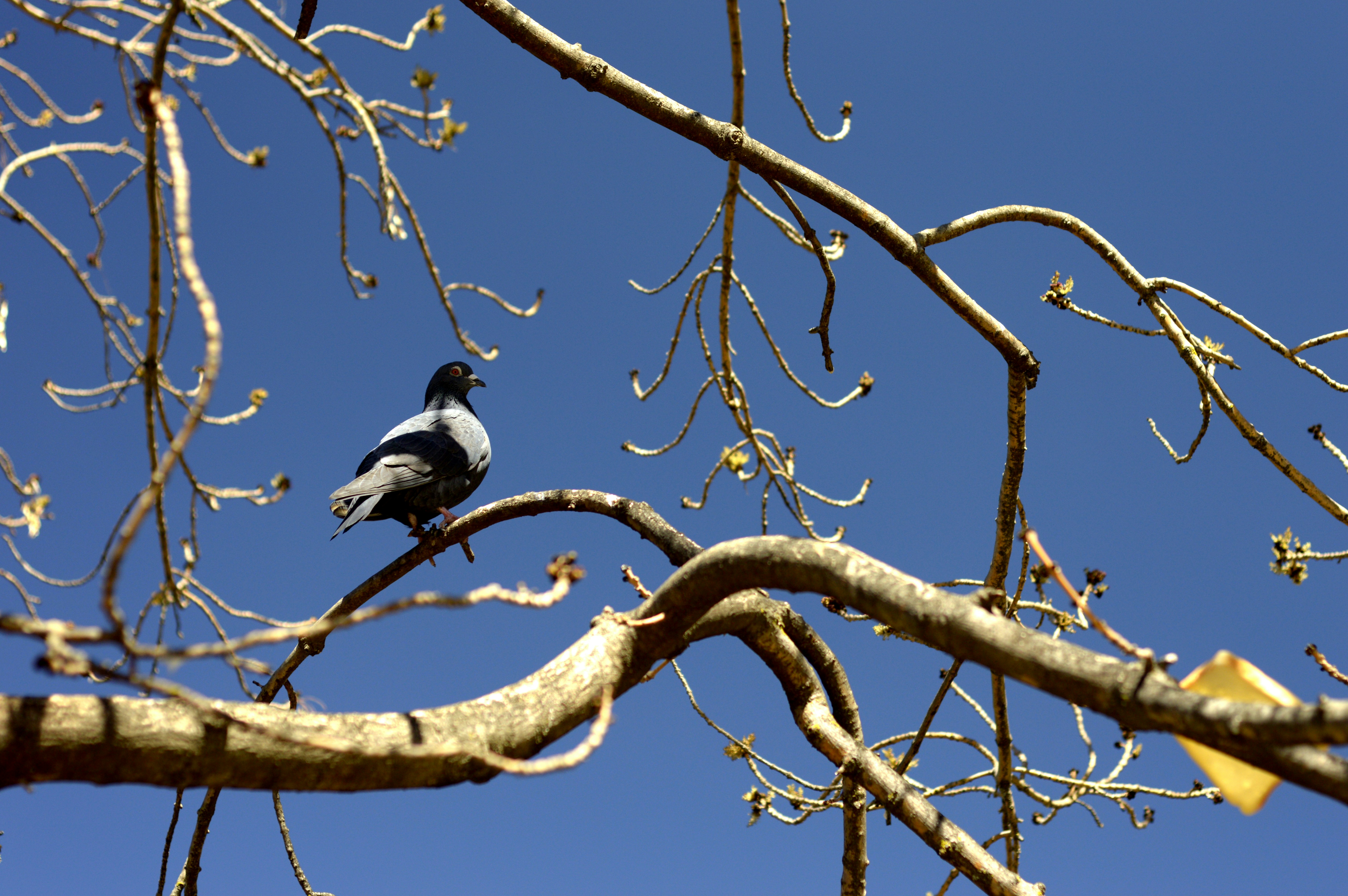 Photo by lakelandimages