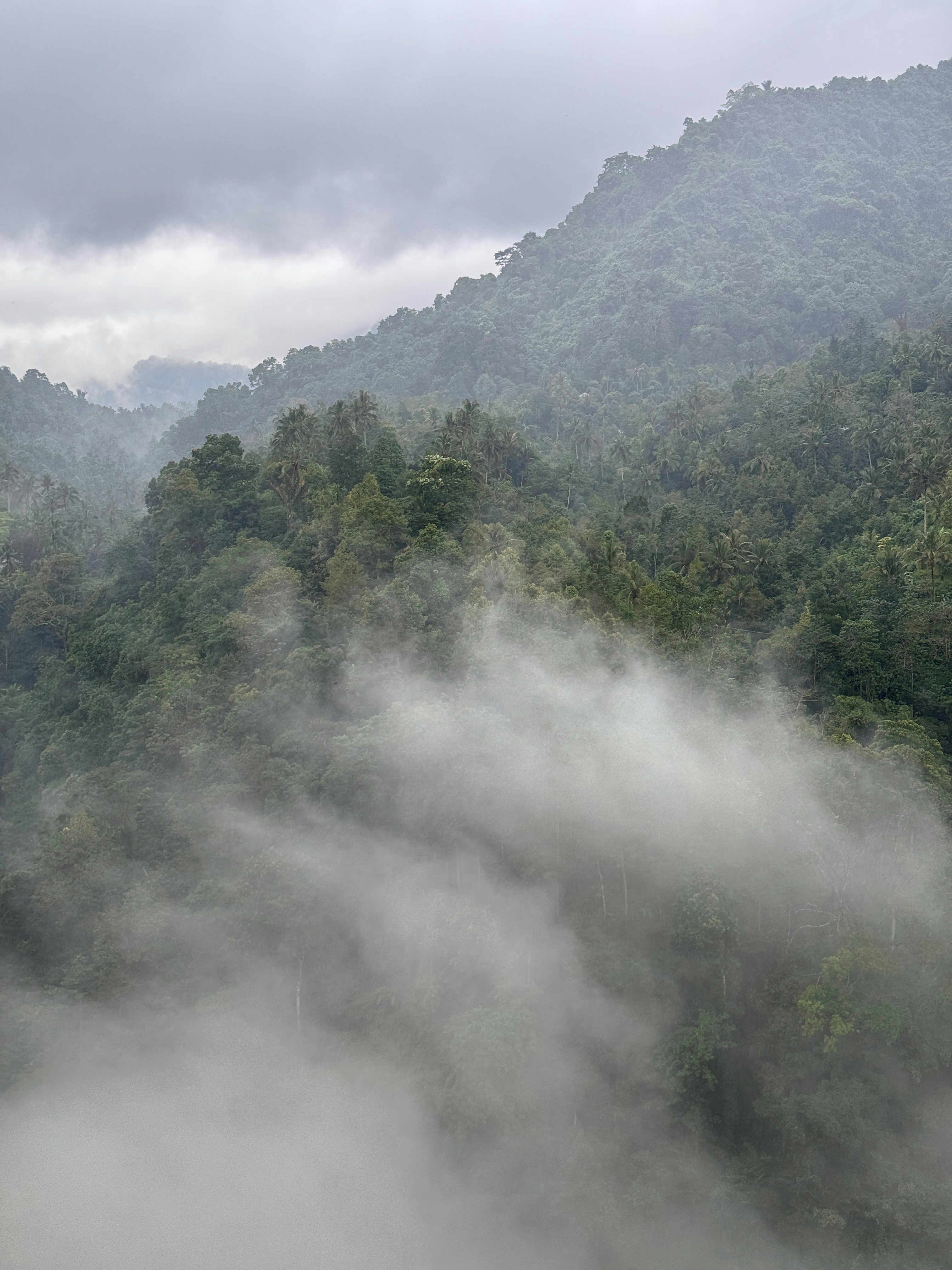 Photo by aryakrisdyantara