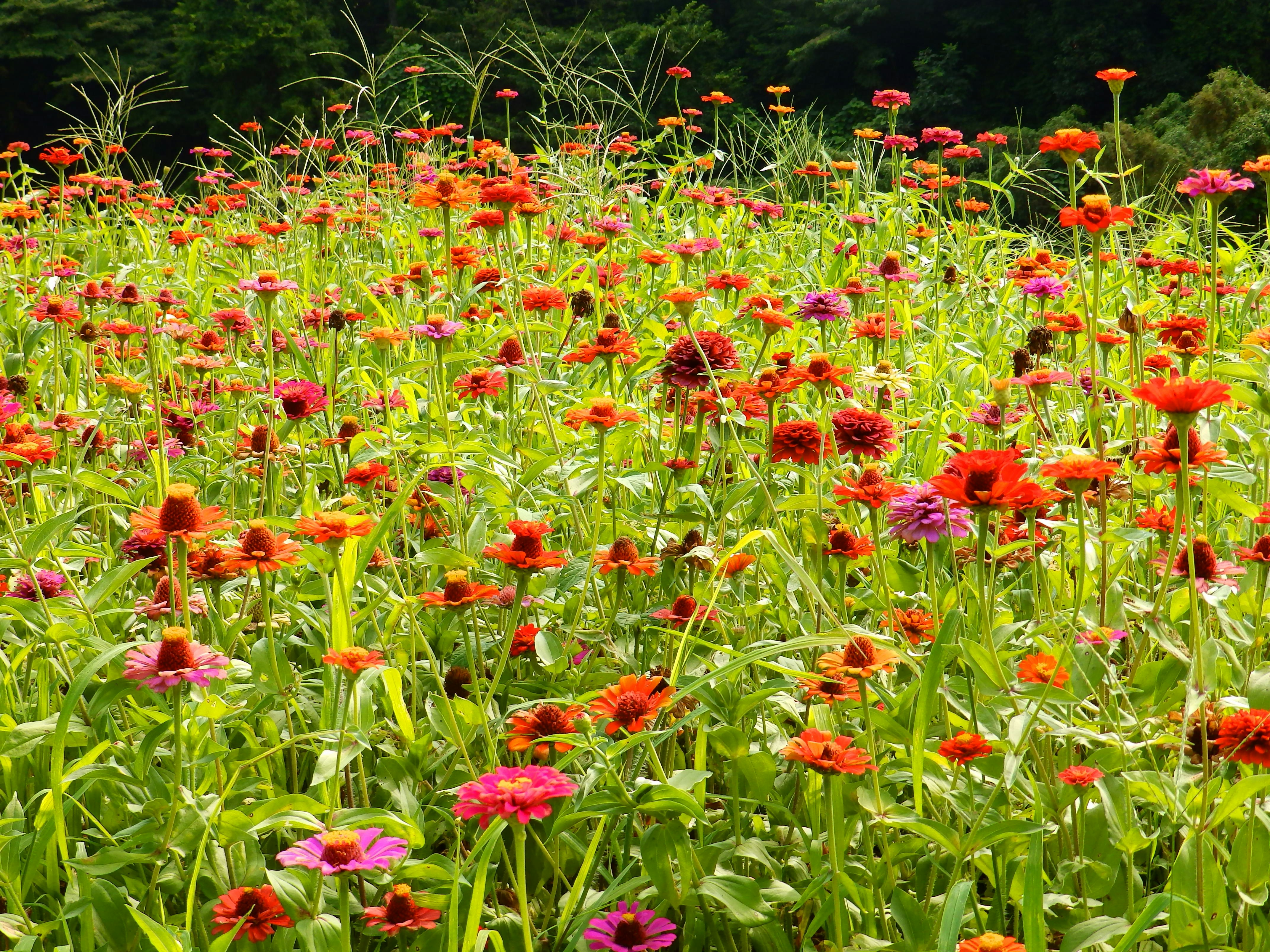 Photo by tamaki_chan