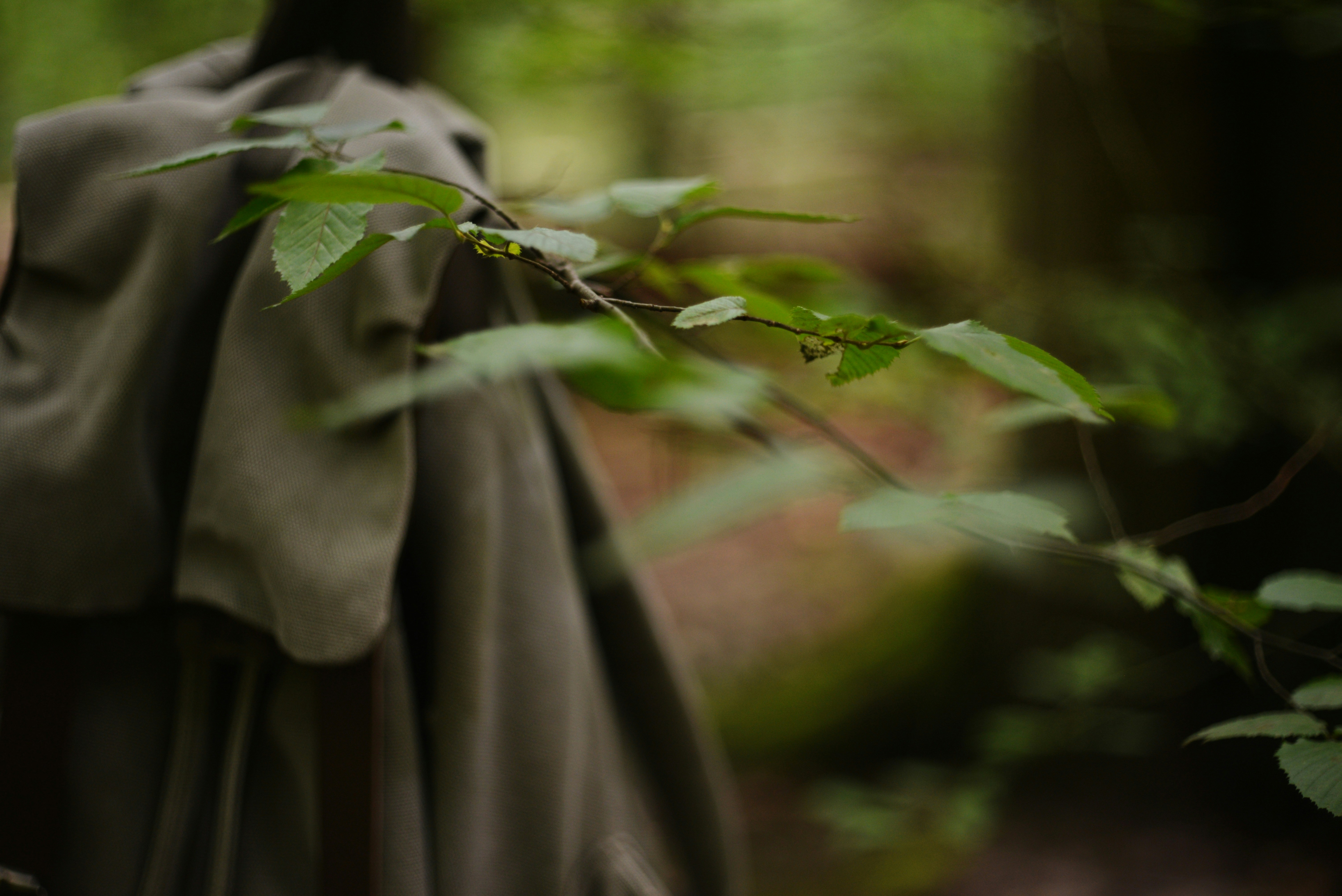 Photo by cherstve_pechivo