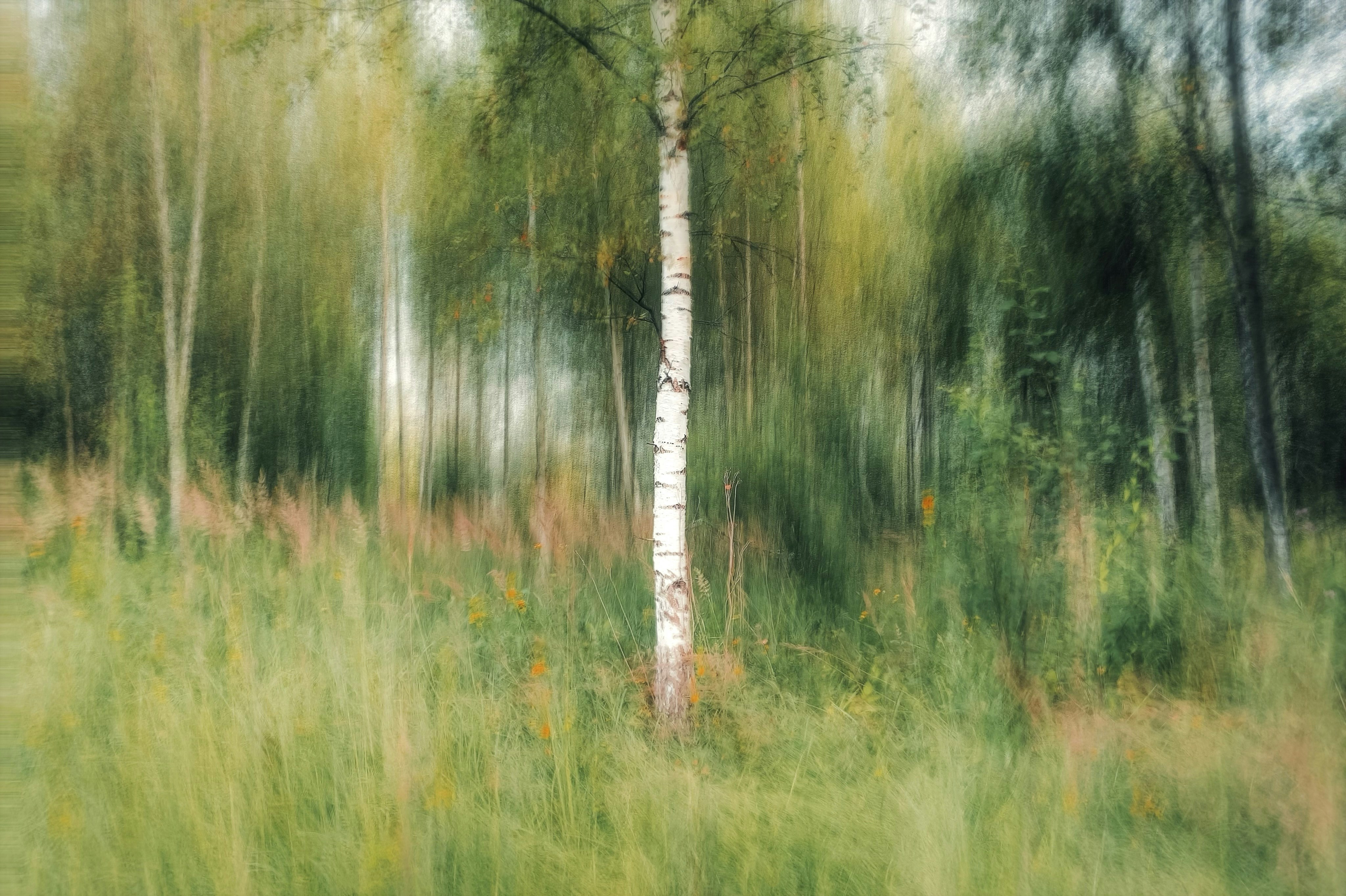 Photo by eugene_golovesov