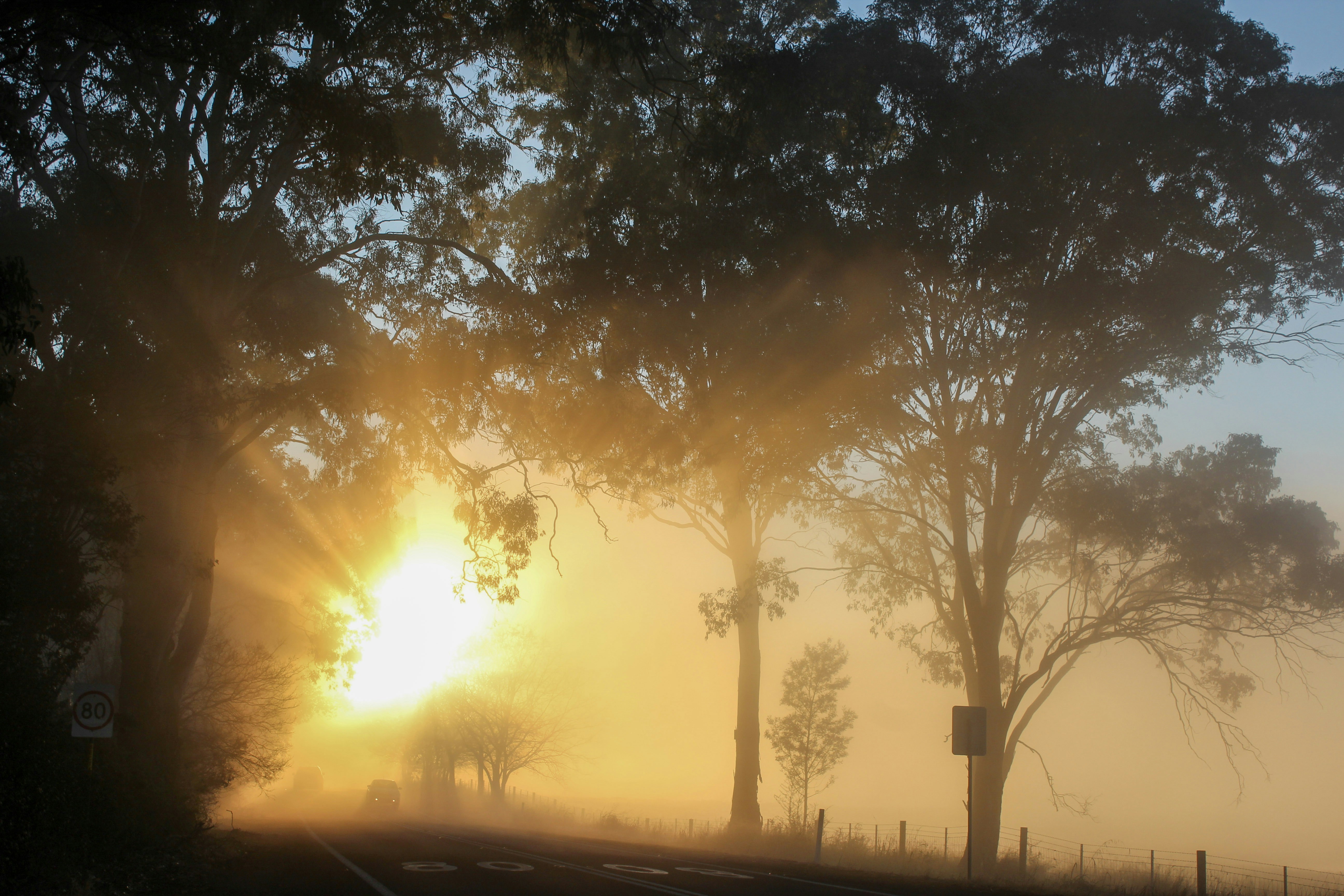 Photo by light_and_hope