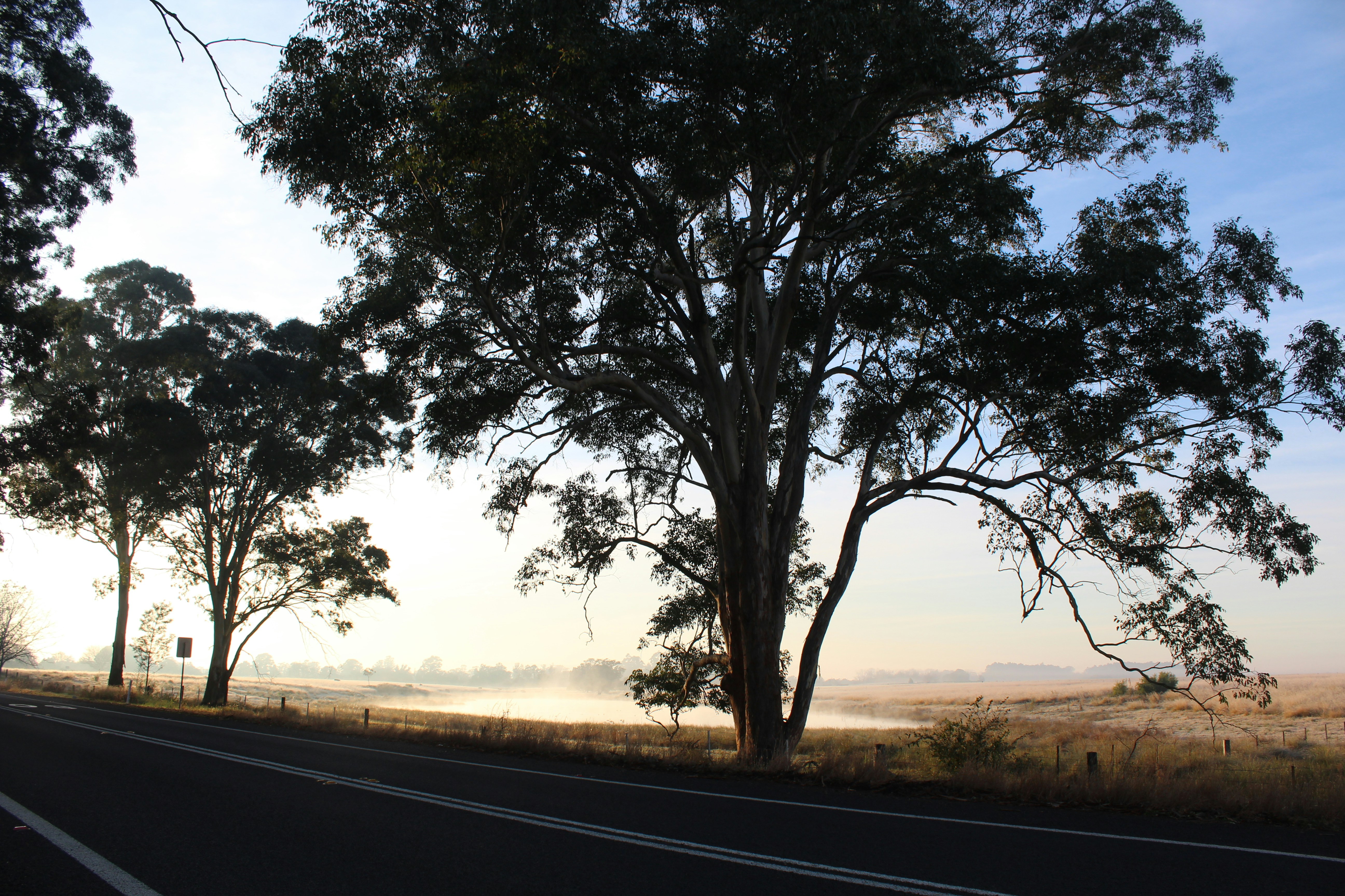 Photo by light_and_hope