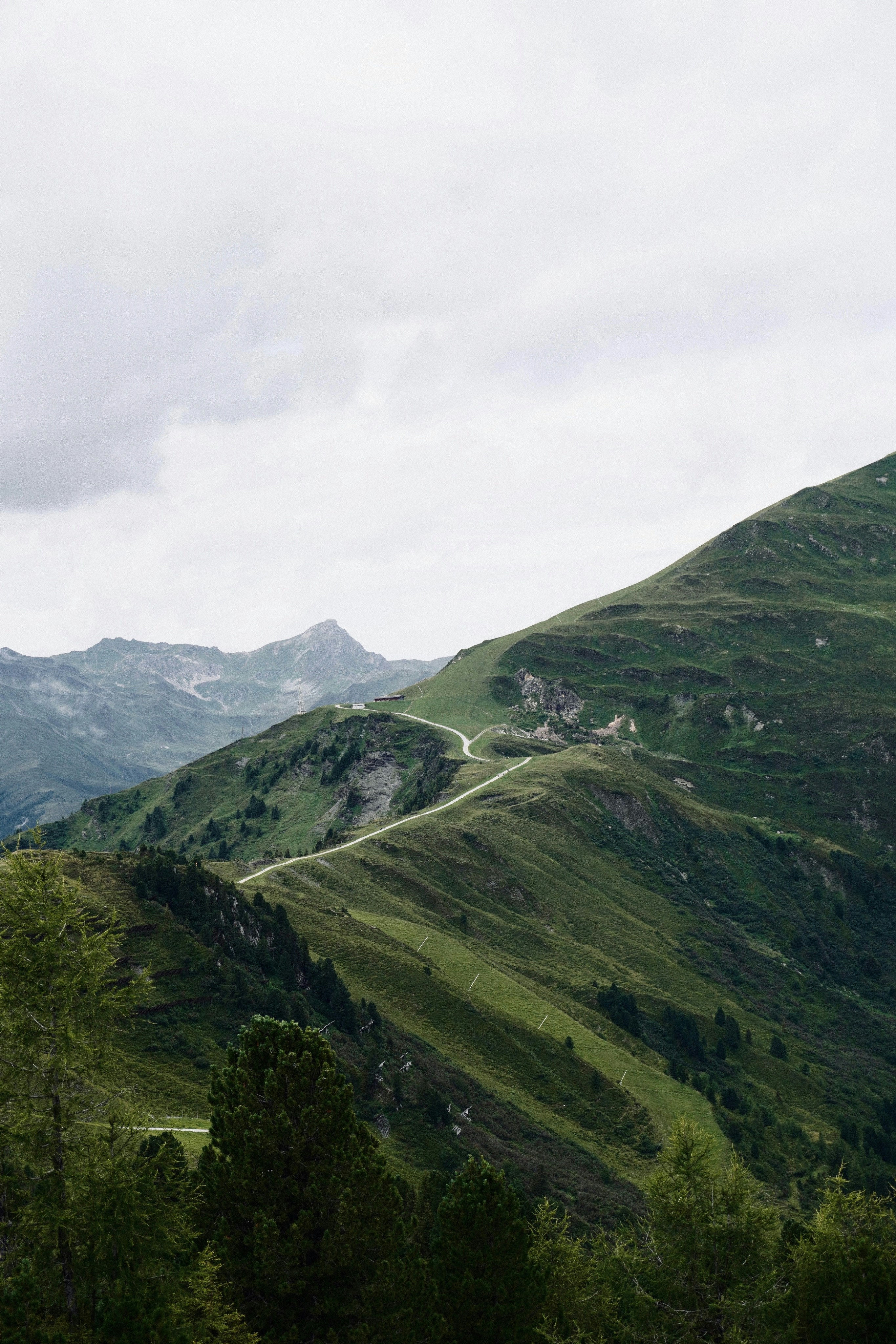 Photo by franziskawe01