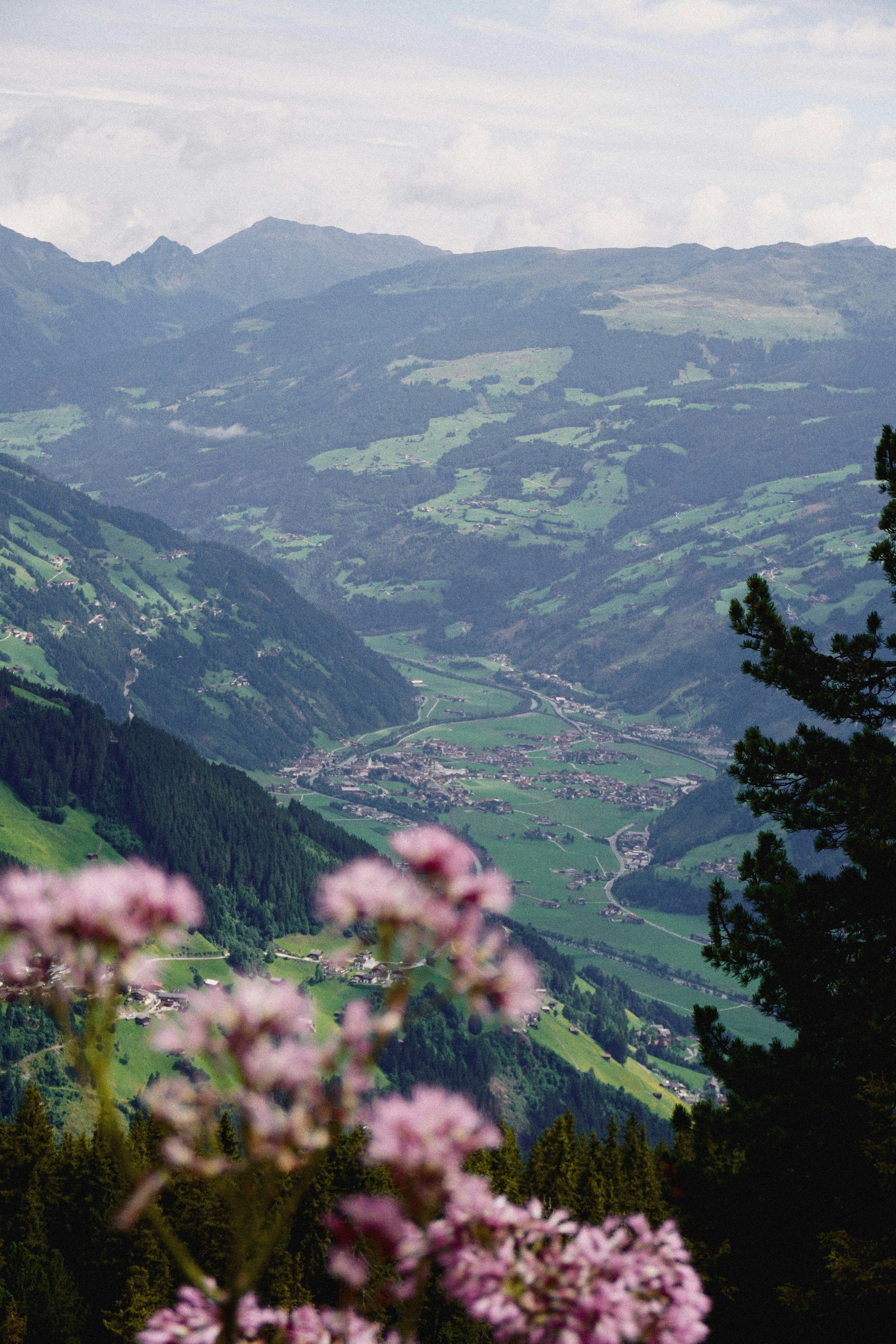 Photo by franziskawe01