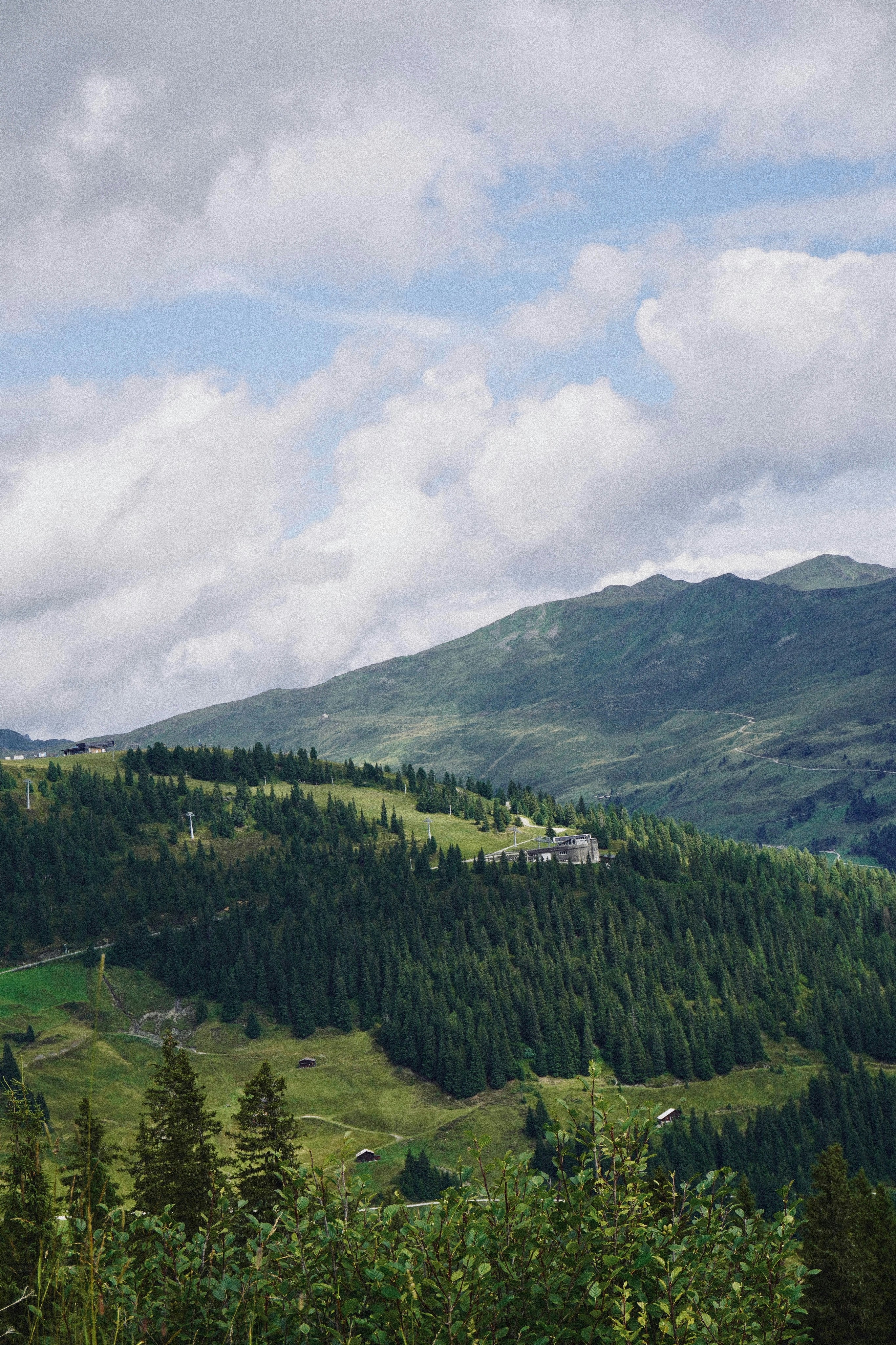 Photo by franziskawe01