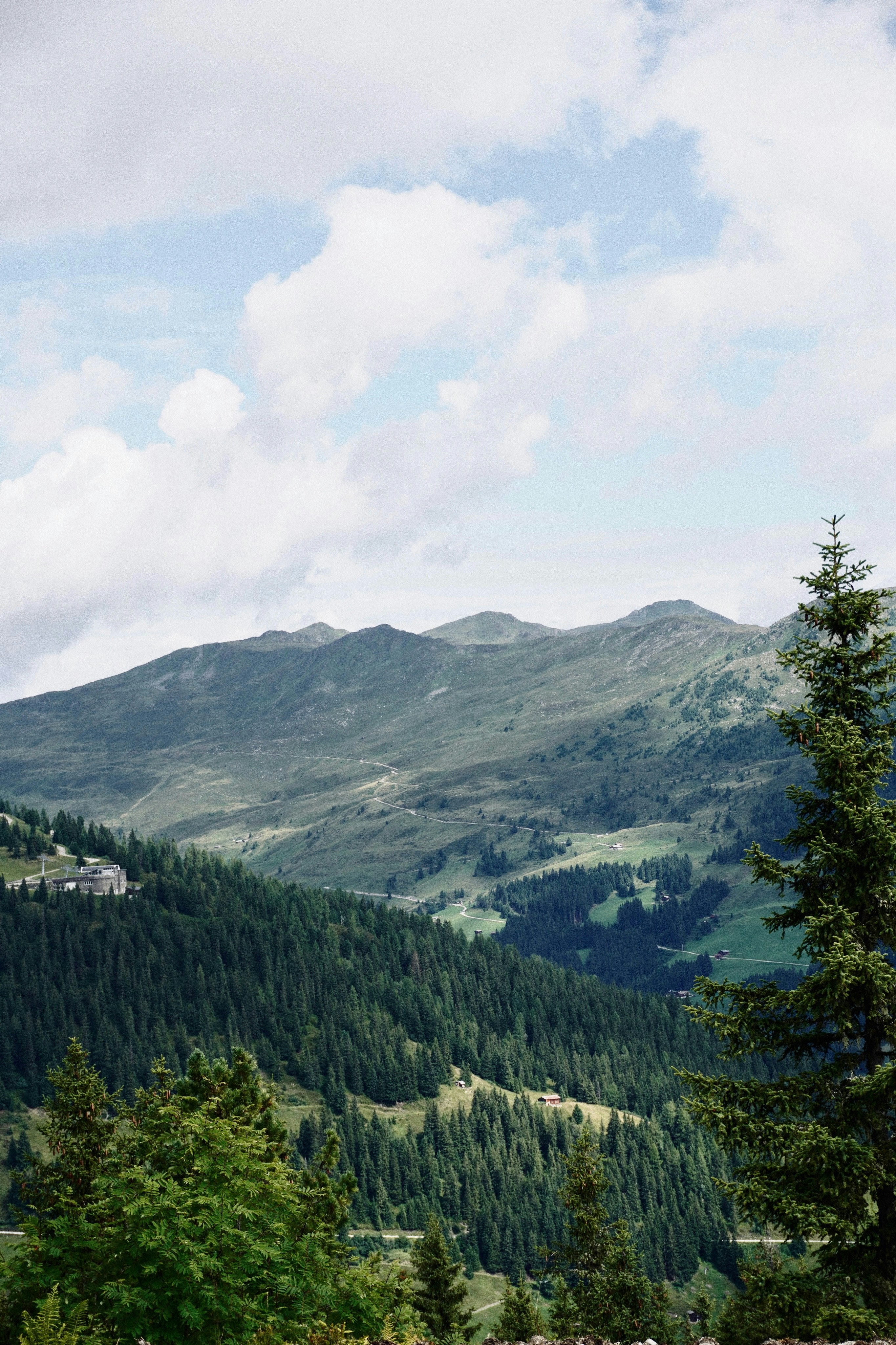 Photo by franziskawe01